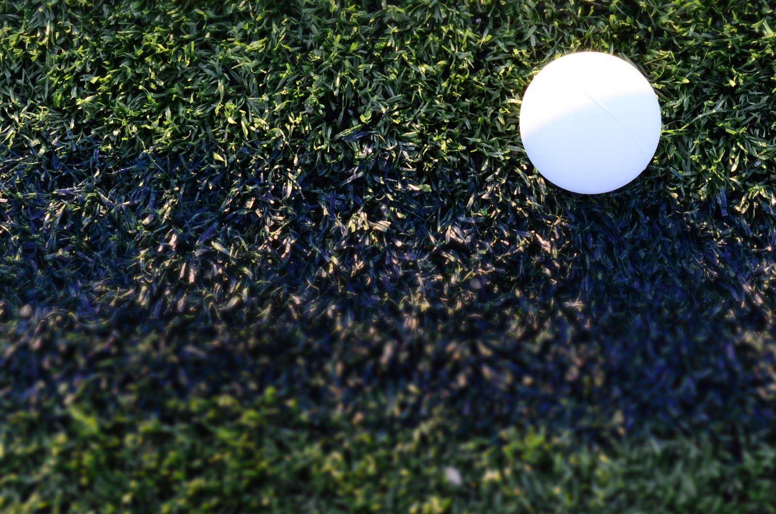 Kelly Hagenbuch Women's Lacrosse Hilbert College Athletics