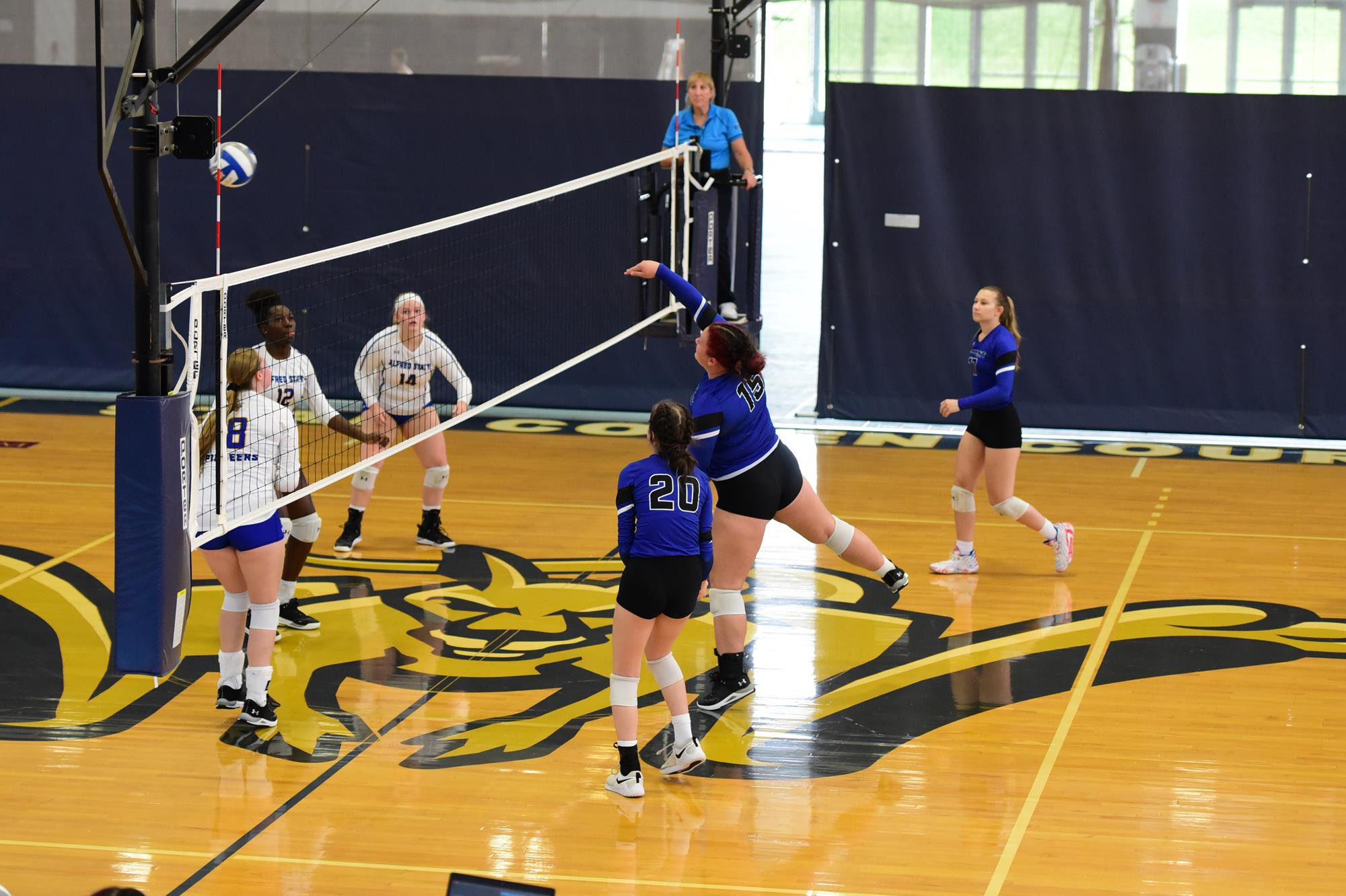 Michaela Rice Women's Volleyball Hilbert College Athletics