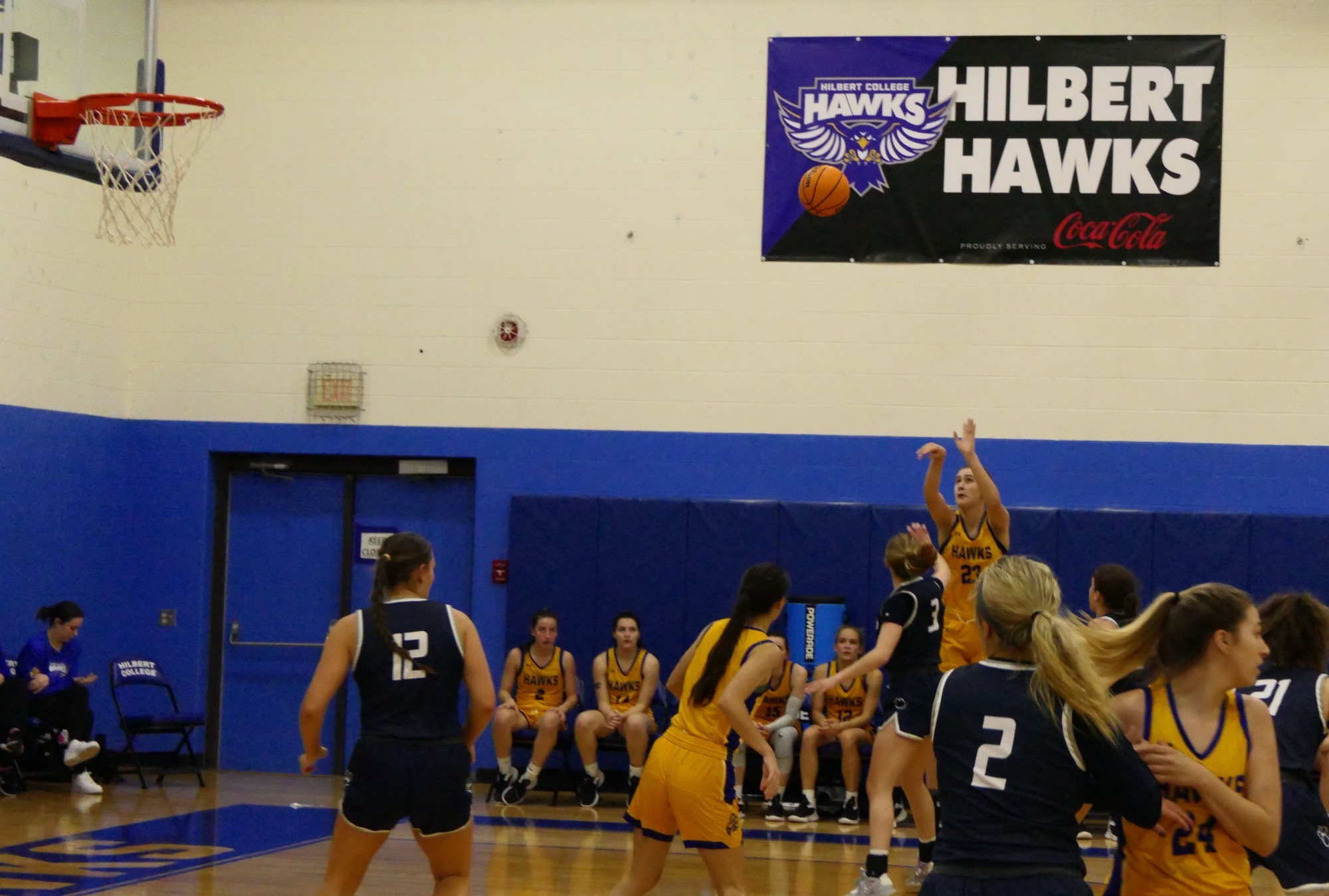 Jocelyn Poindexter Women's Basketball Hilbert College Athletics