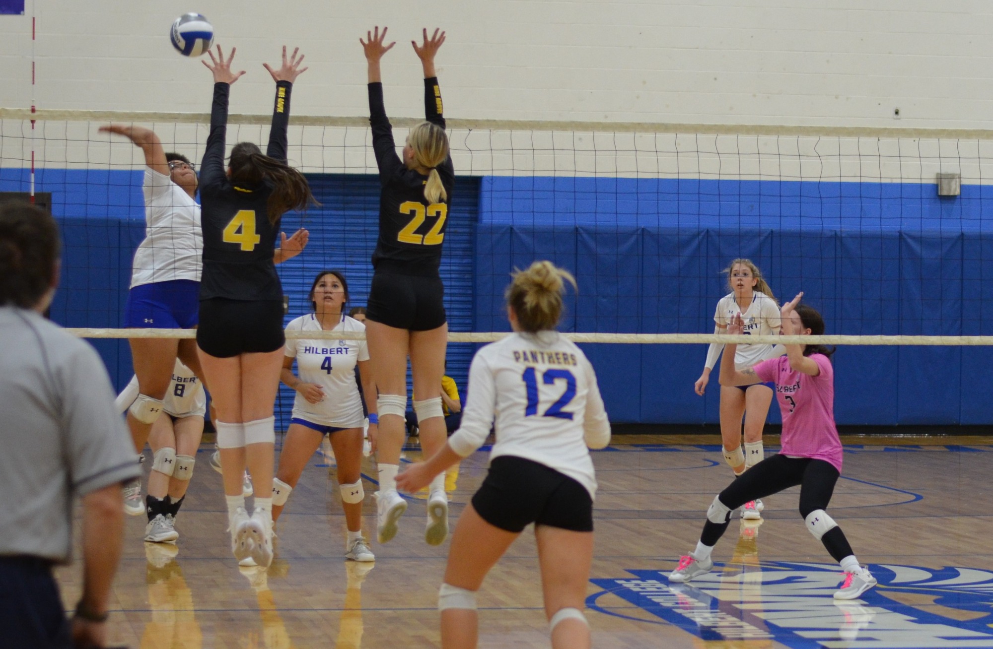 Natalie Ruhlmann Women's Volleyball Hilbert College Athletics
