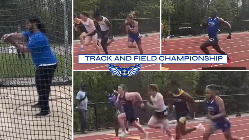 m t& F champ