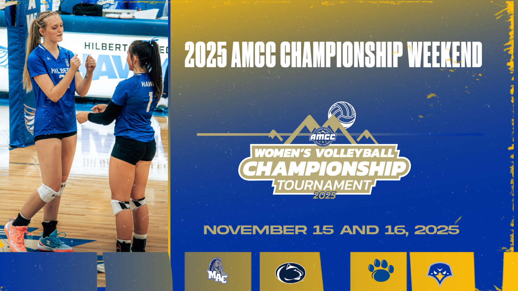 amcc final four wvb