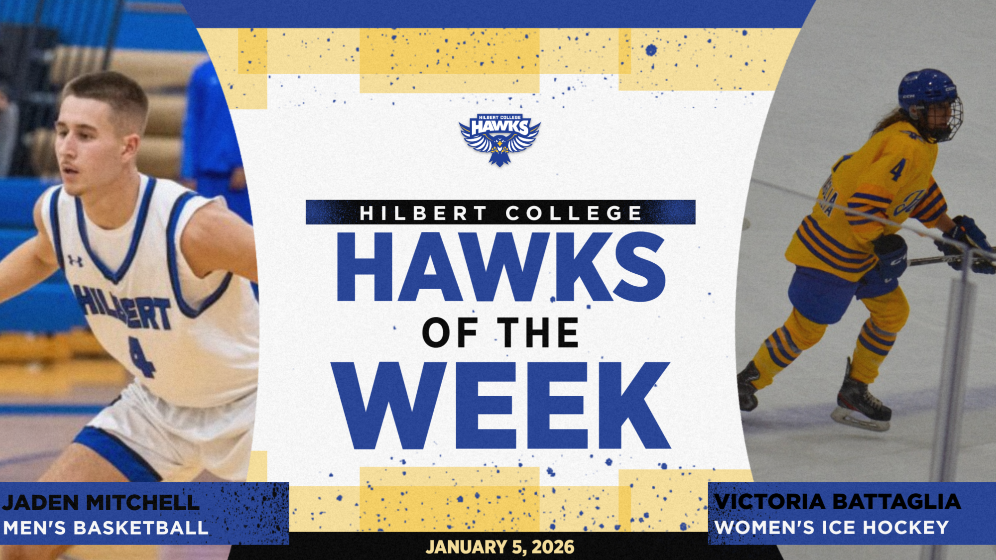 hawks of week, Jan 5
