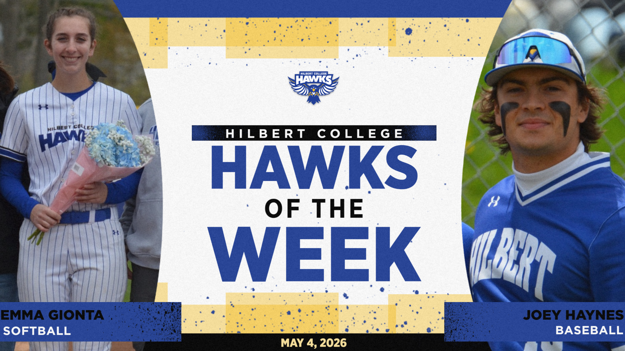 hawks of week, May 4