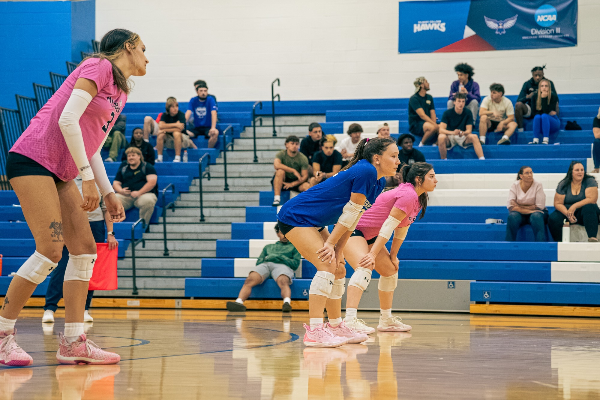 WVB