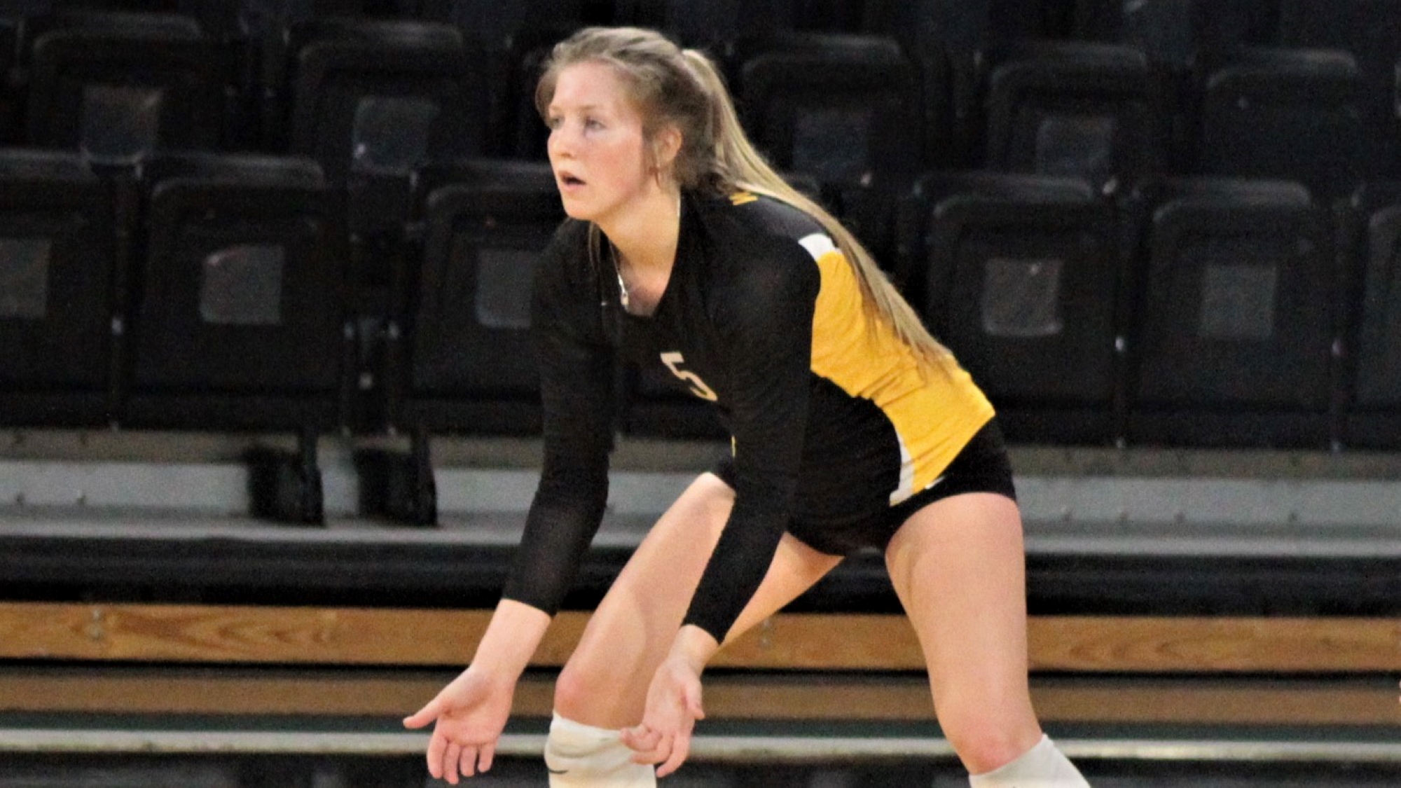 Five Straight Wins for West Liberty Volleyball West Liberty