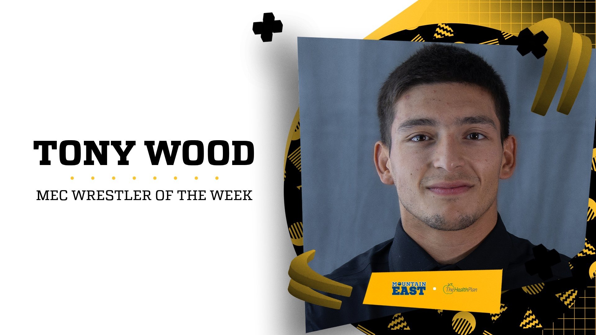 Tony_Wood_HPPOW_Graphic 