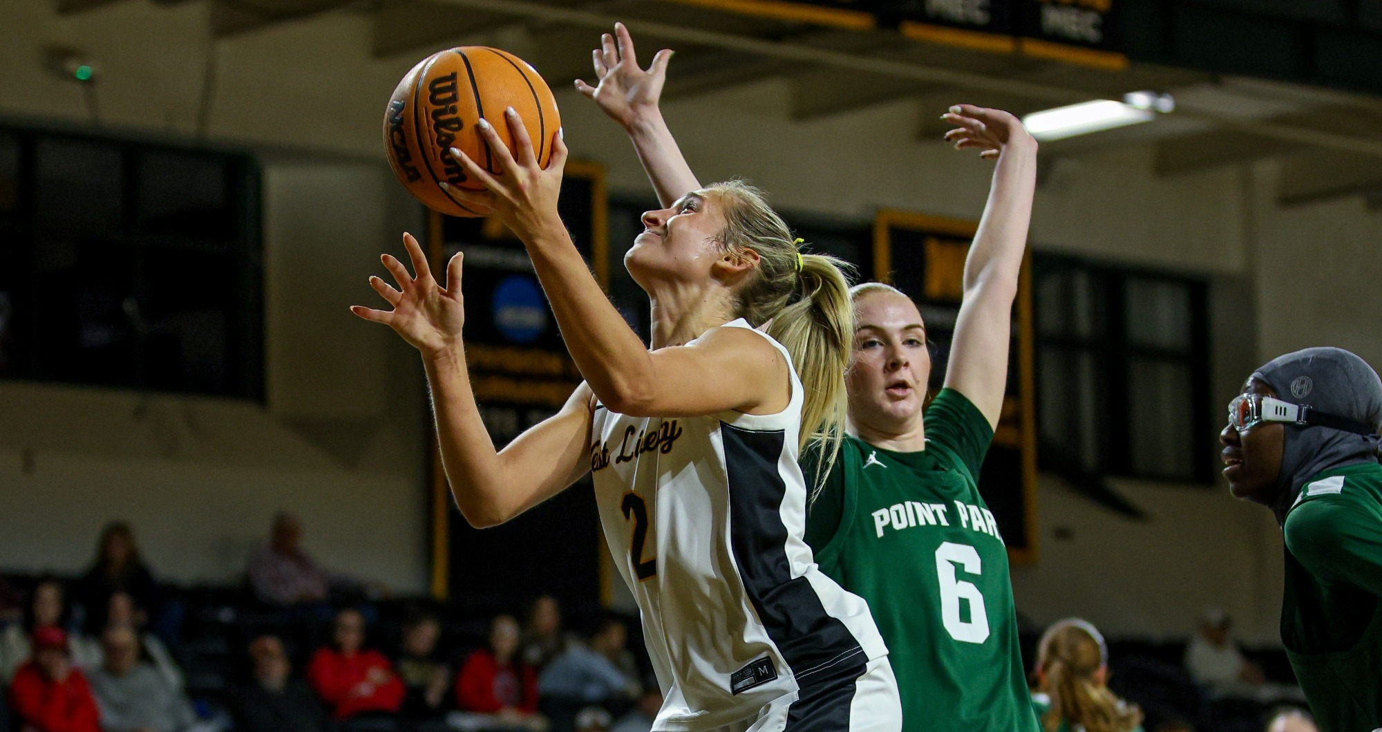 WBB_Anna_Lucarelli_Point_Park_25