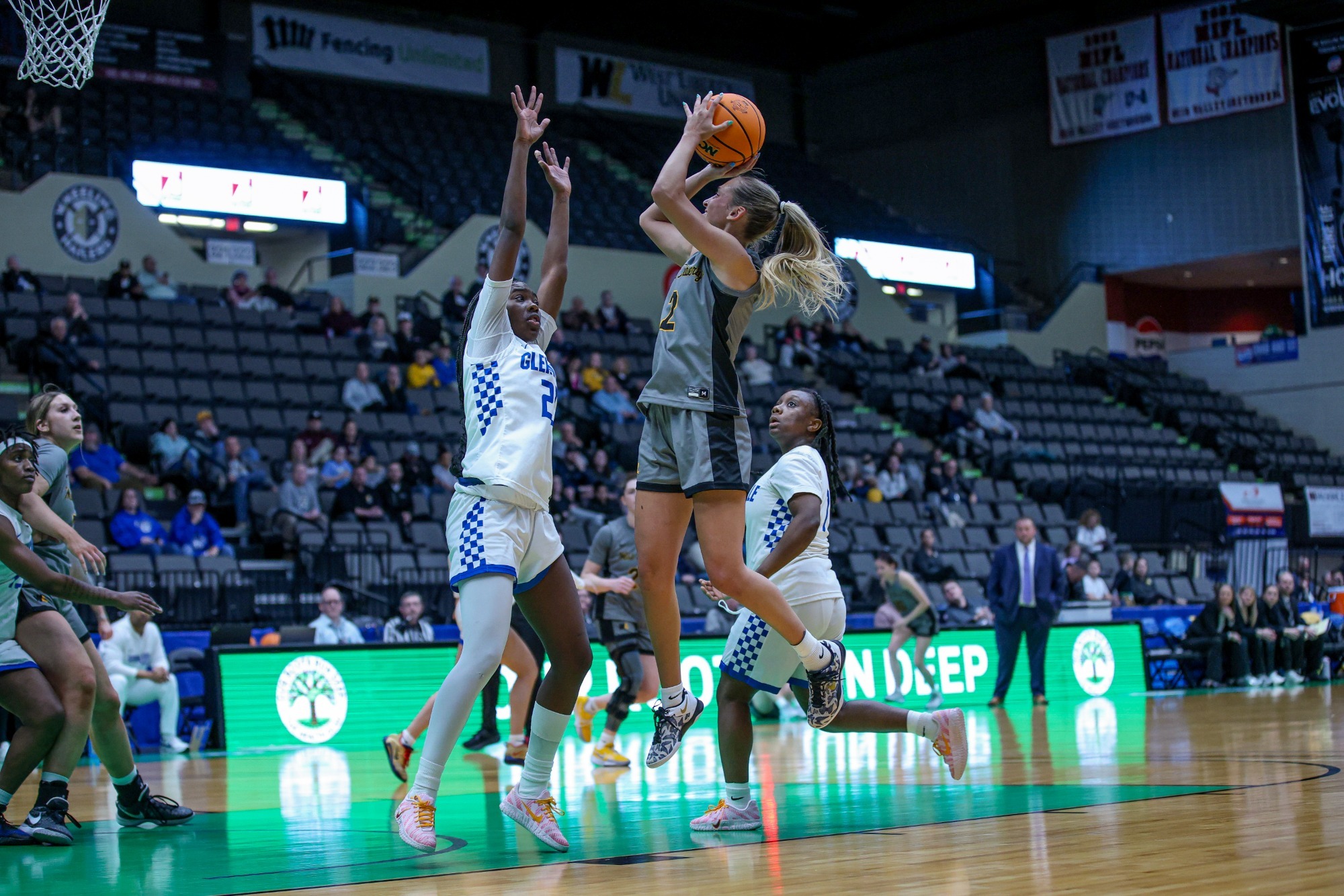 WBB_Anna_Lucarelli_Glenville_State_2026 