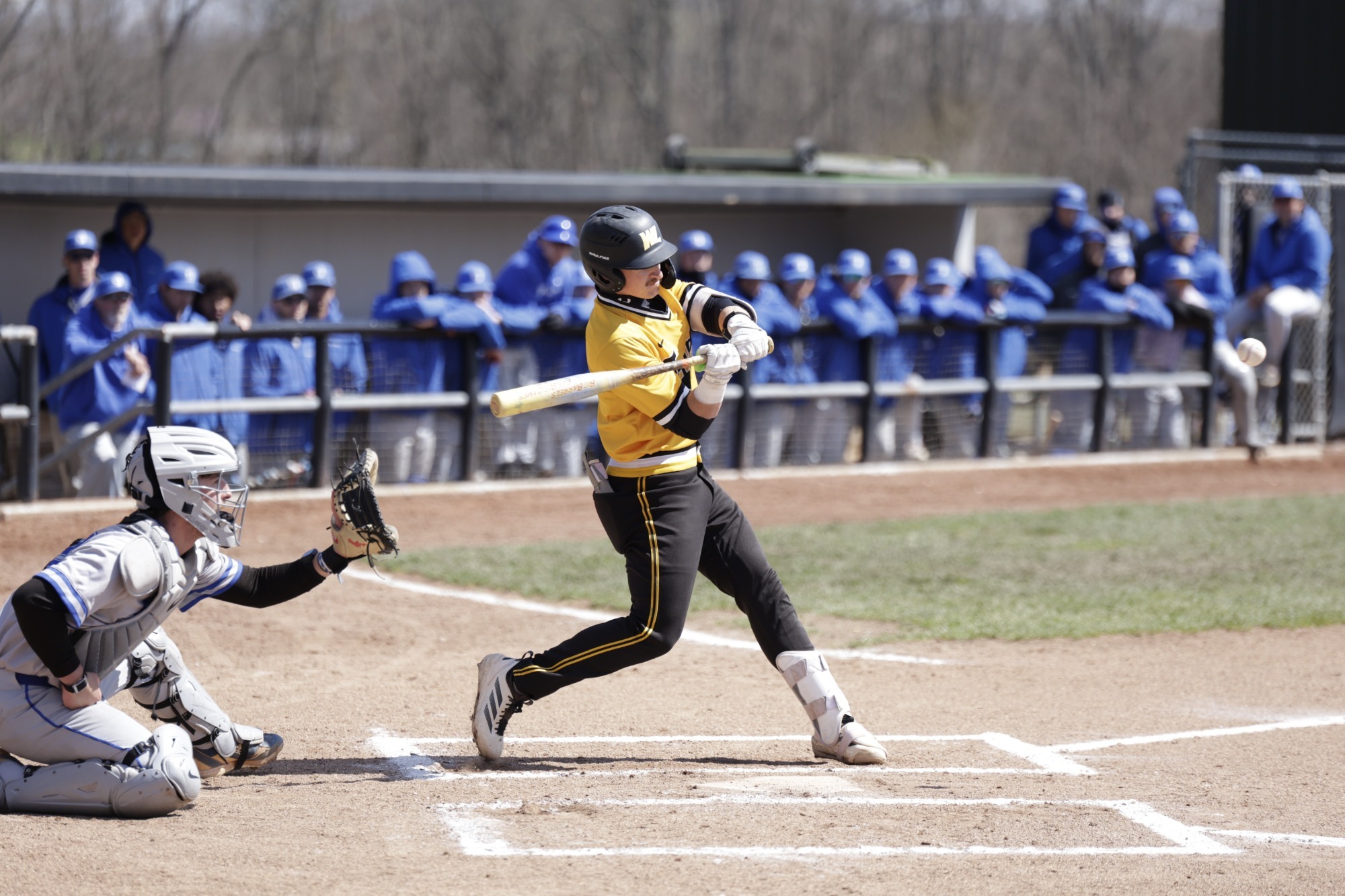 BB_Giacomo_Dolce_Glenville_State_2026