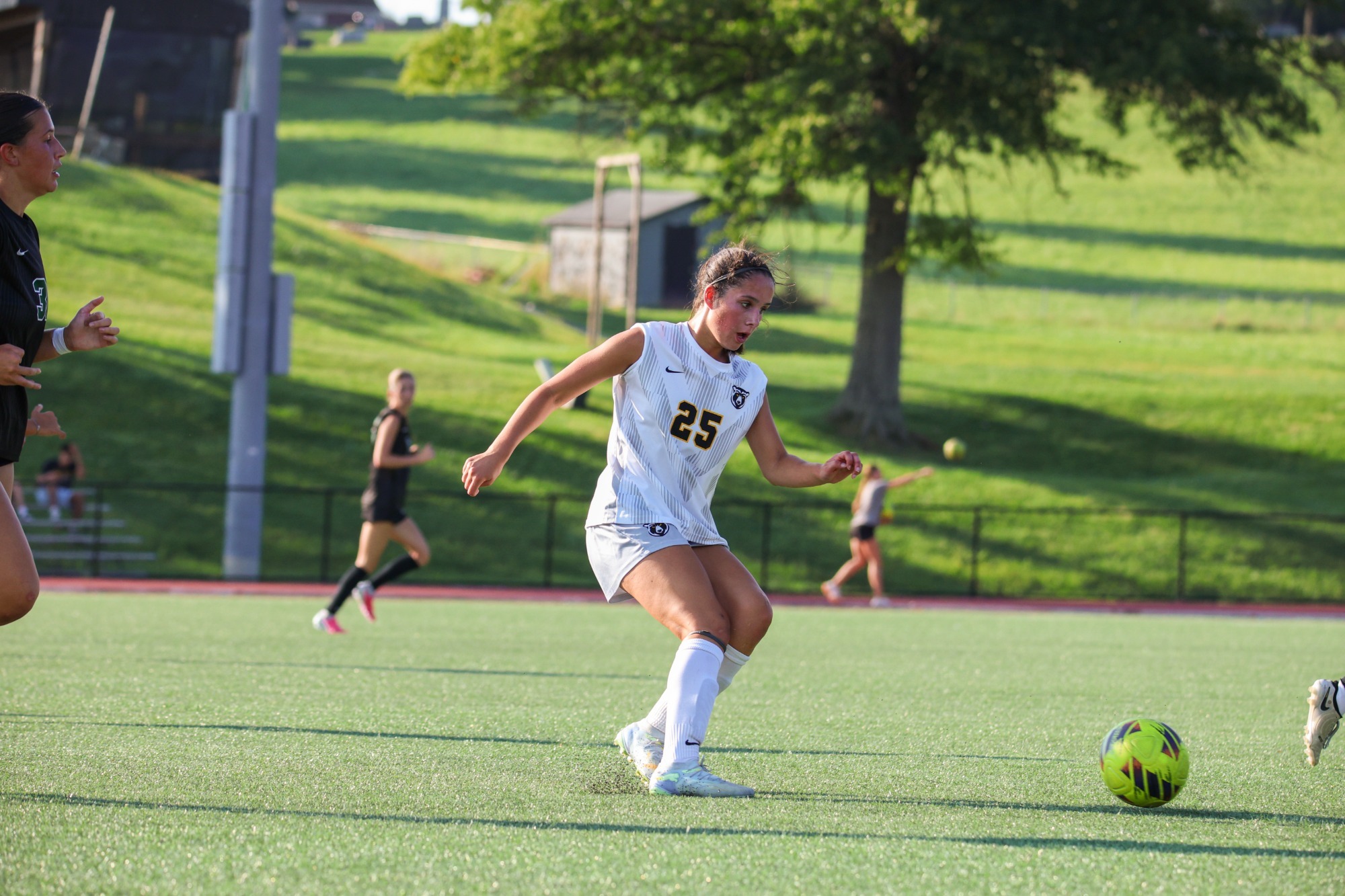 WSOC_Allie_Callahan_Point Park_2026