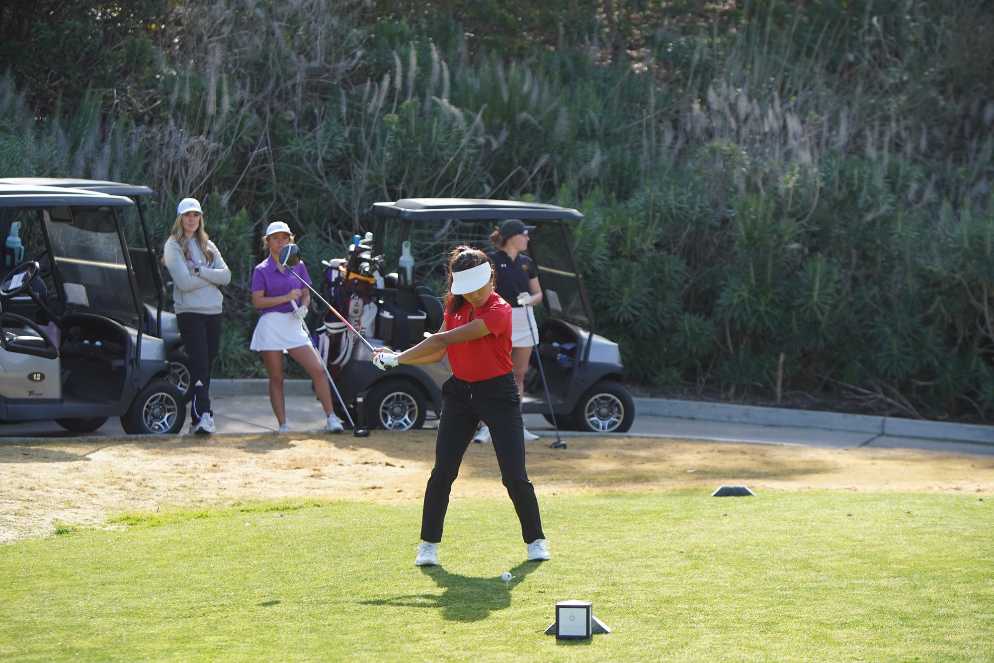 Kaileykoa - Best photos on dibujosparaimprimir.net