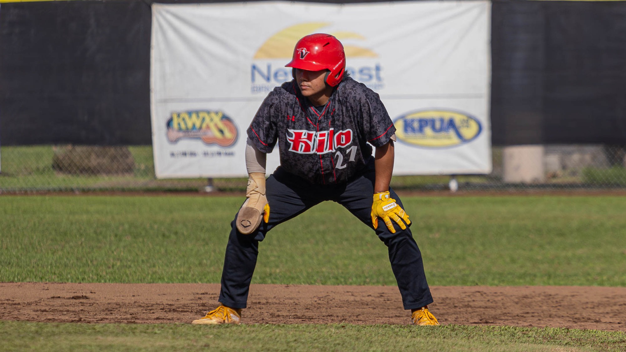 Baseball 2024 Schedule Release Hawai'i Hilo Vulcans Athletics