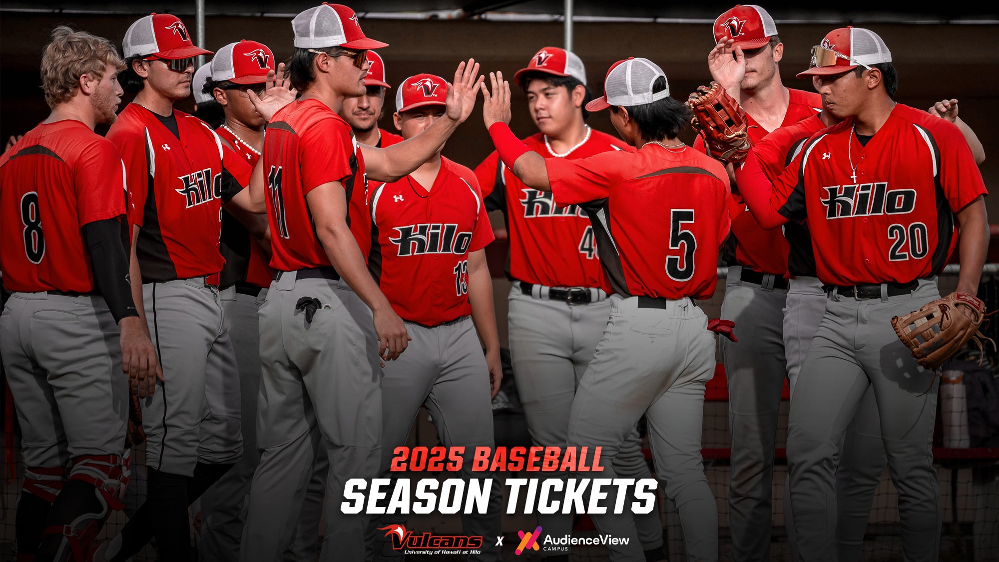 2025 Baseball Schedule Release Hawai'i Hilo Vulcans Athletics