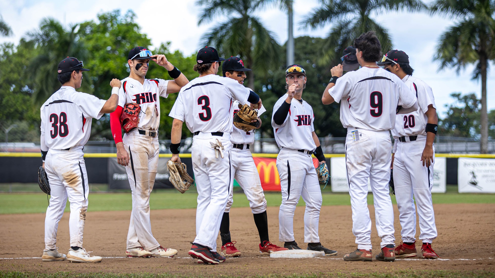 2025 Baseball Schedule Release Hawai'i Hilo Vulcans Athletics