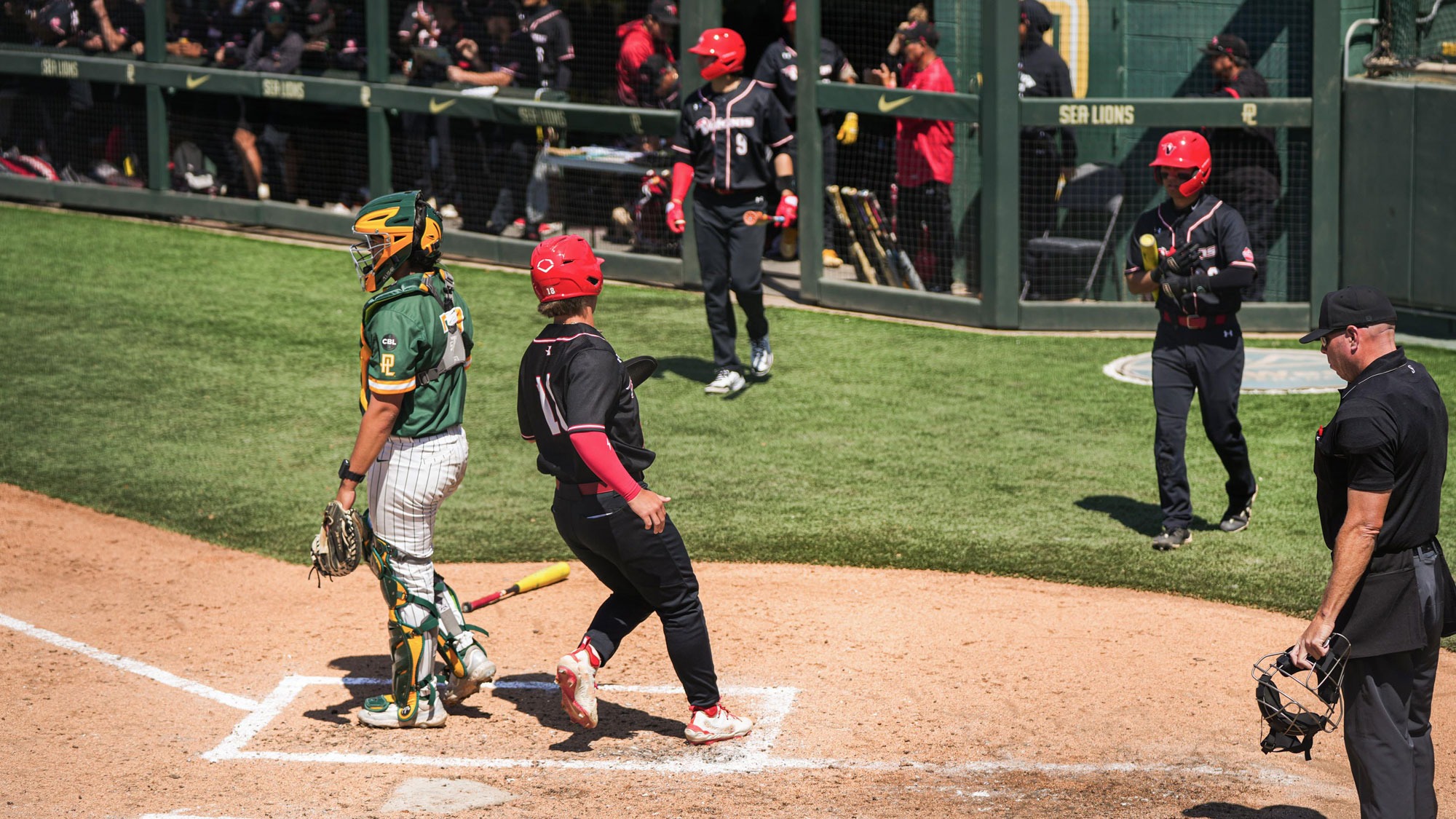 2025 Baseball Schedule Release Hawai'i Hilo Vulcans Athletics