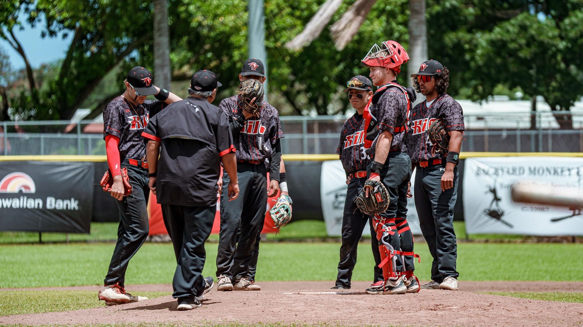 2025 Baseball Schedule Release Hawai'i Hilo Vulcans Athletics