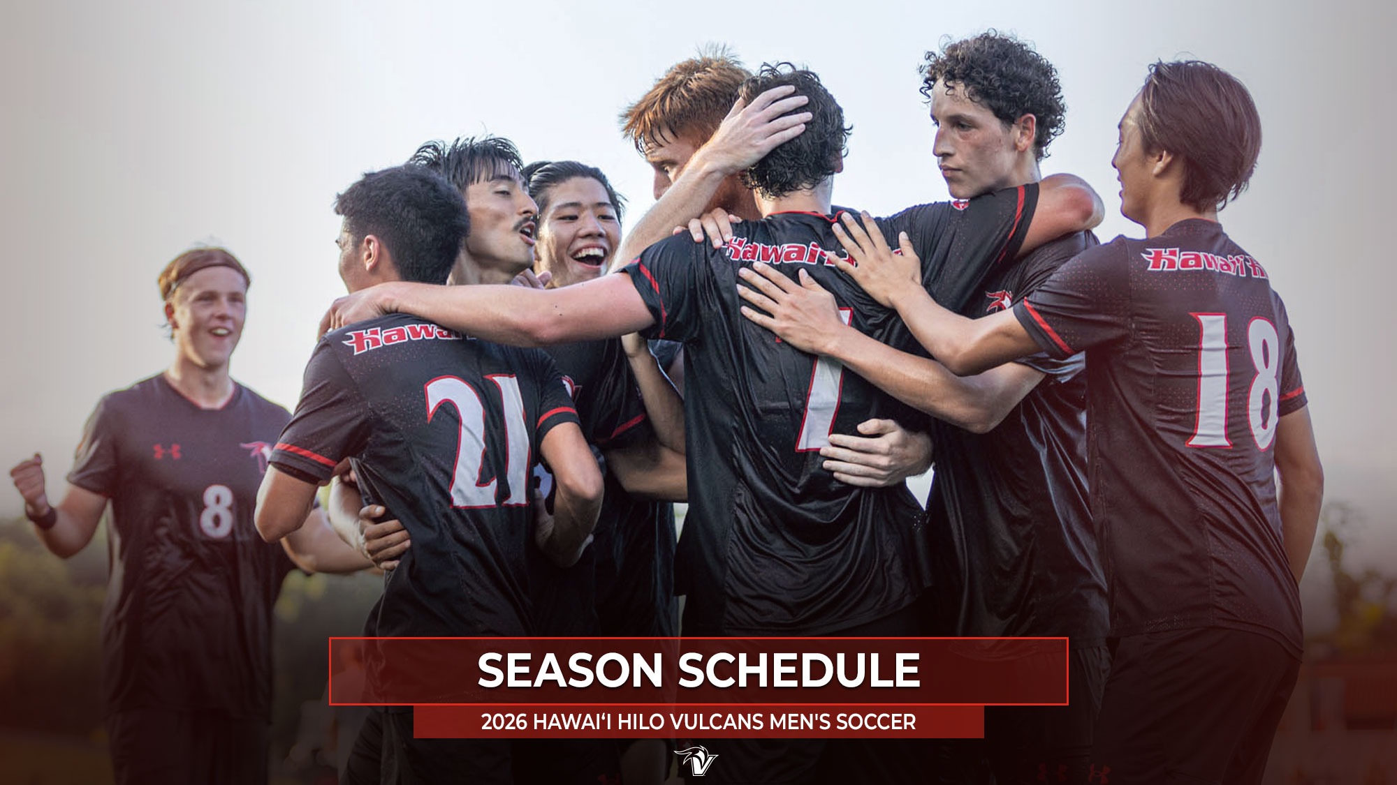 Schedule Release