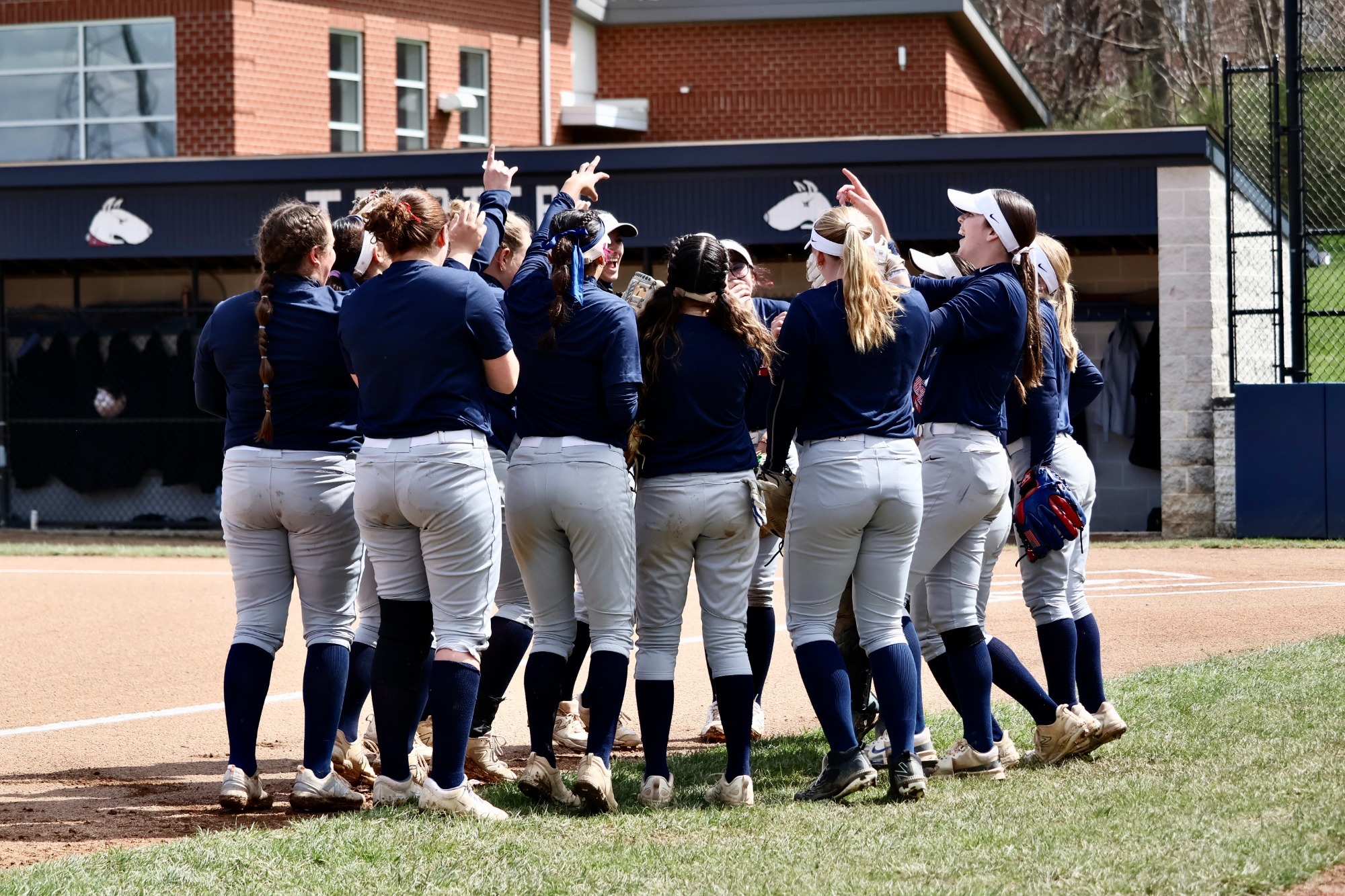 Softball Team Shot