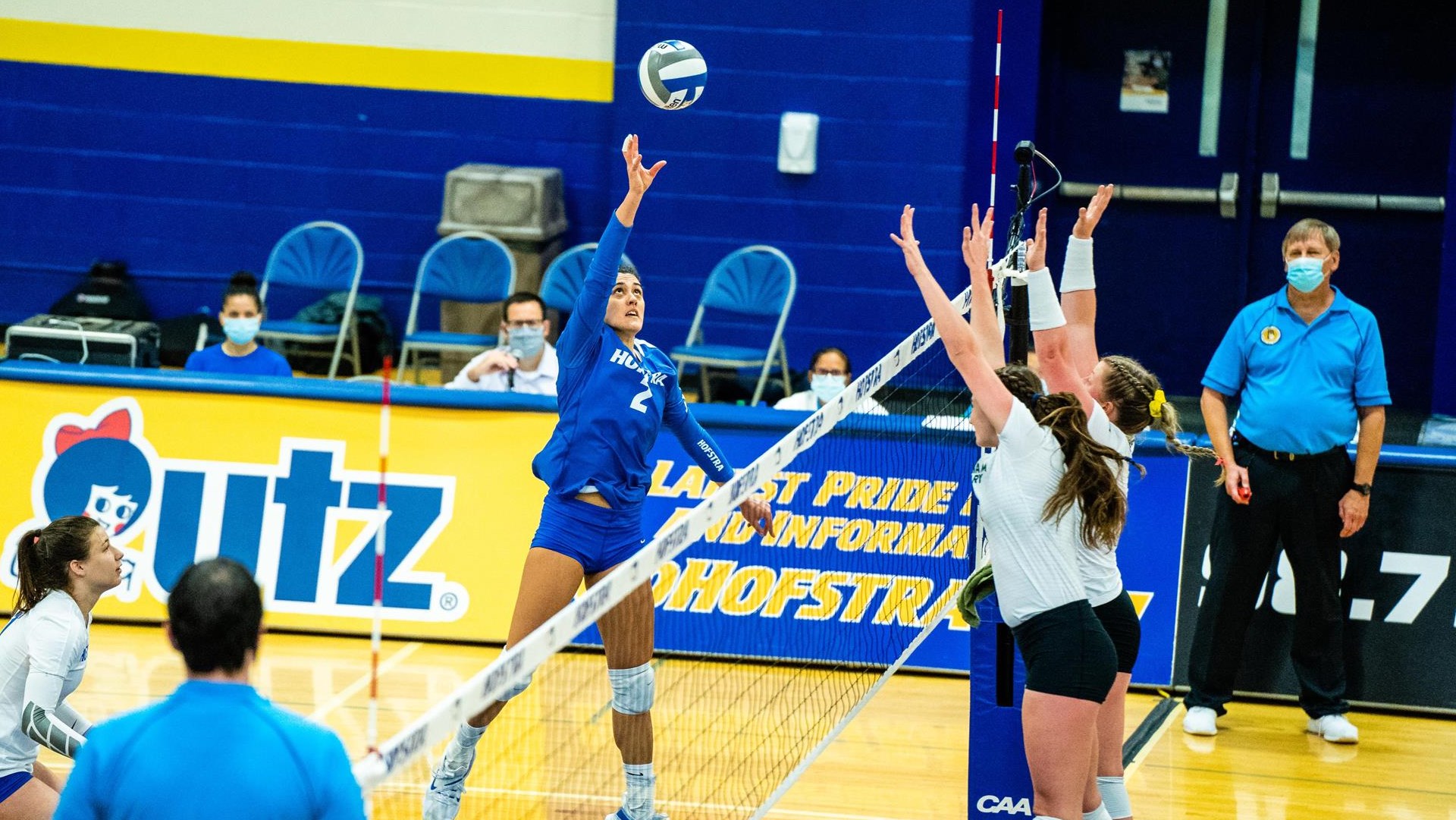 Ana Martinovic - Volleyball - Hofstra University Athletics