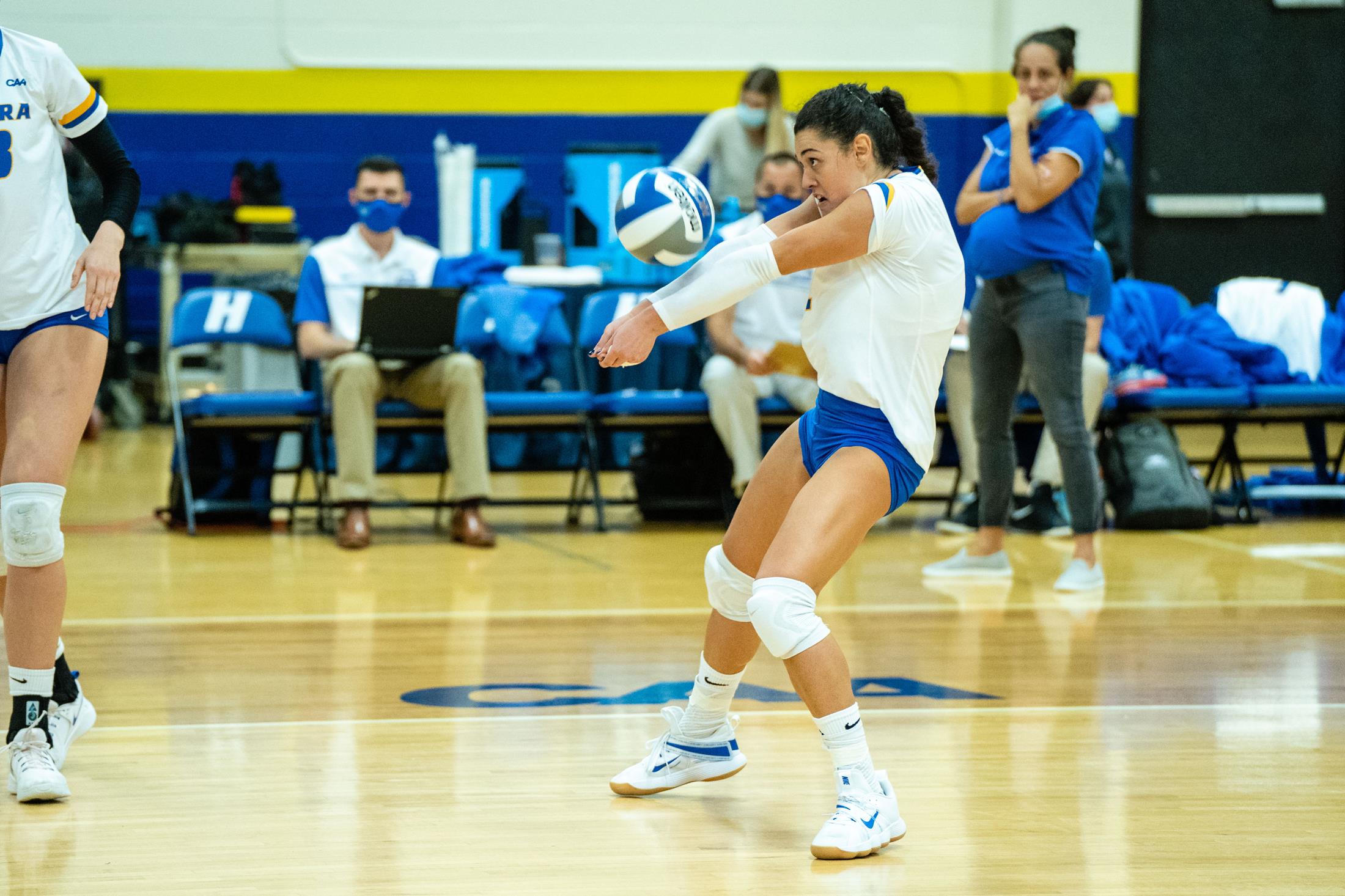 Ana Martinovic - Volleyball - Hofstra University Athletics