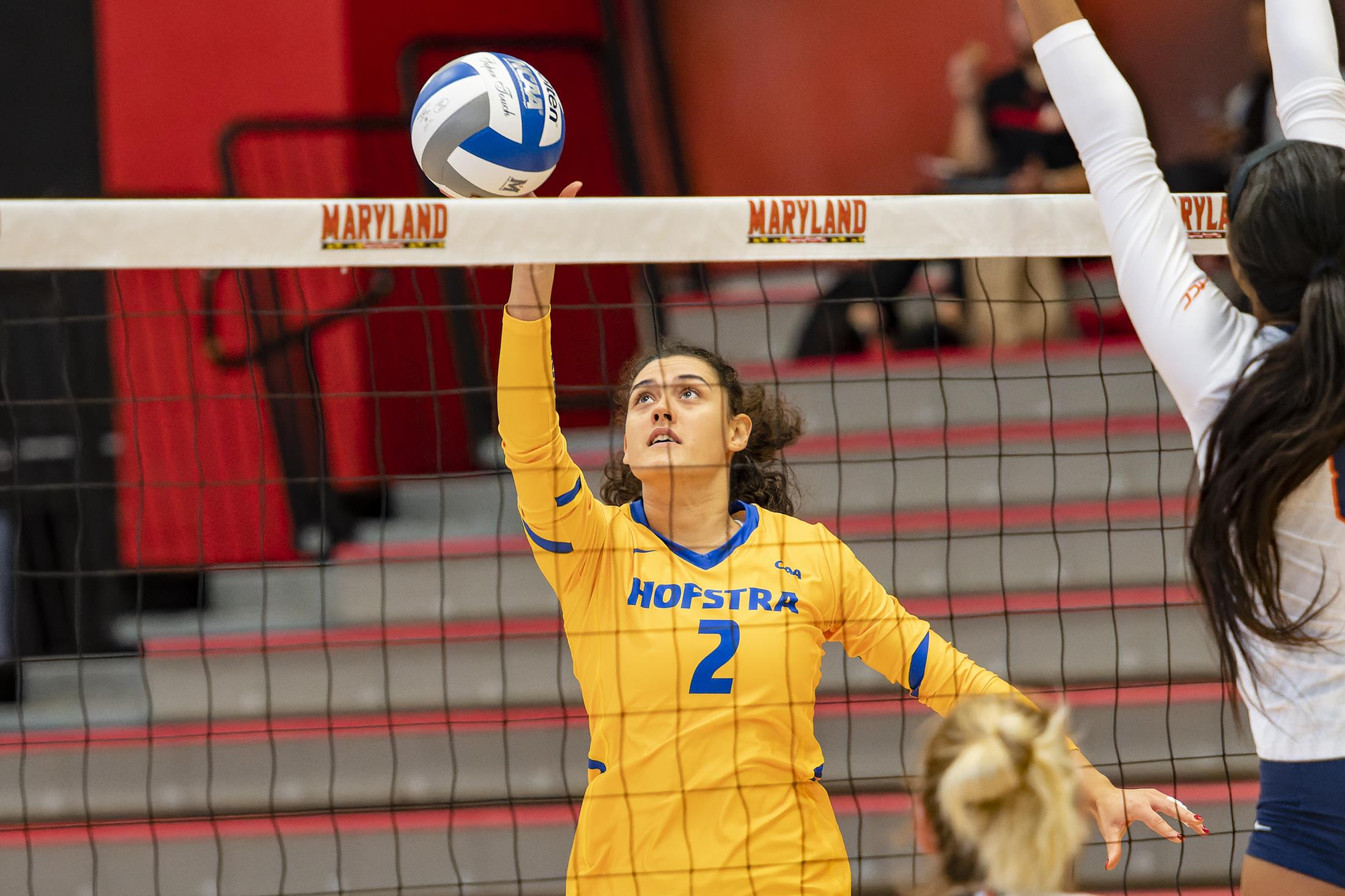 Ana Martinovic - Volleyball - Hofstra University Athletics