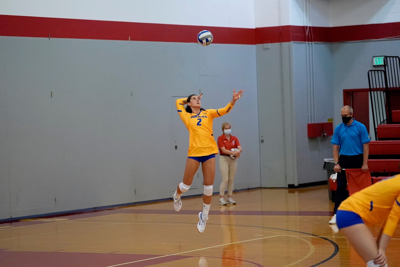 Ana Martinovic - Volleyball - Hofstra University Athletics