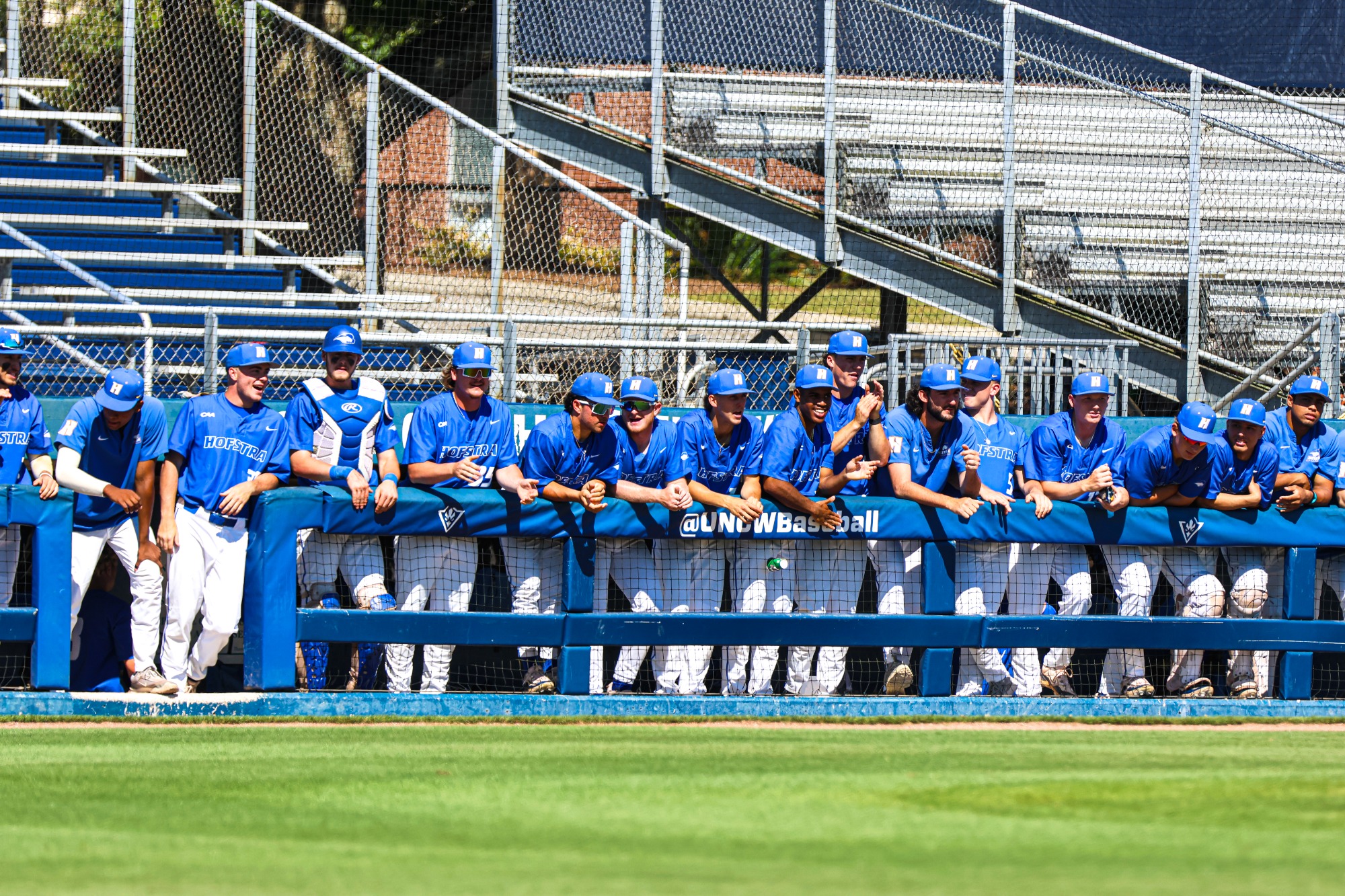 2023 Baseball Schedule Hofstra University Athletics