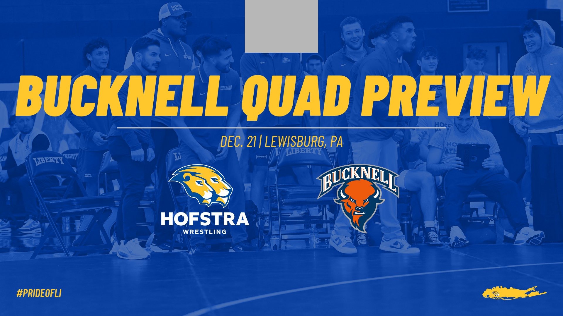 Bucknell Quad Preview