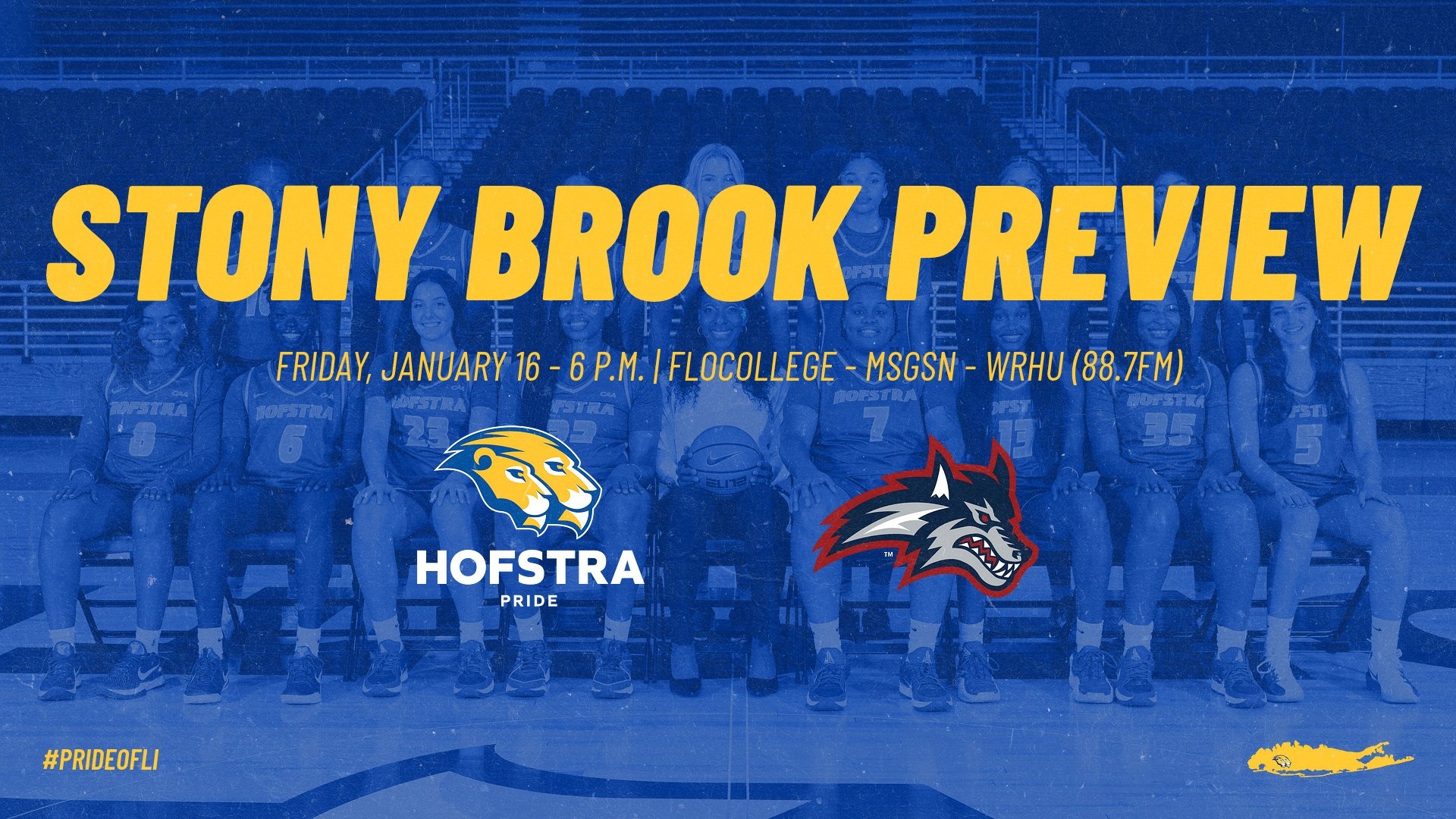 WBB Stony Brook Preview
