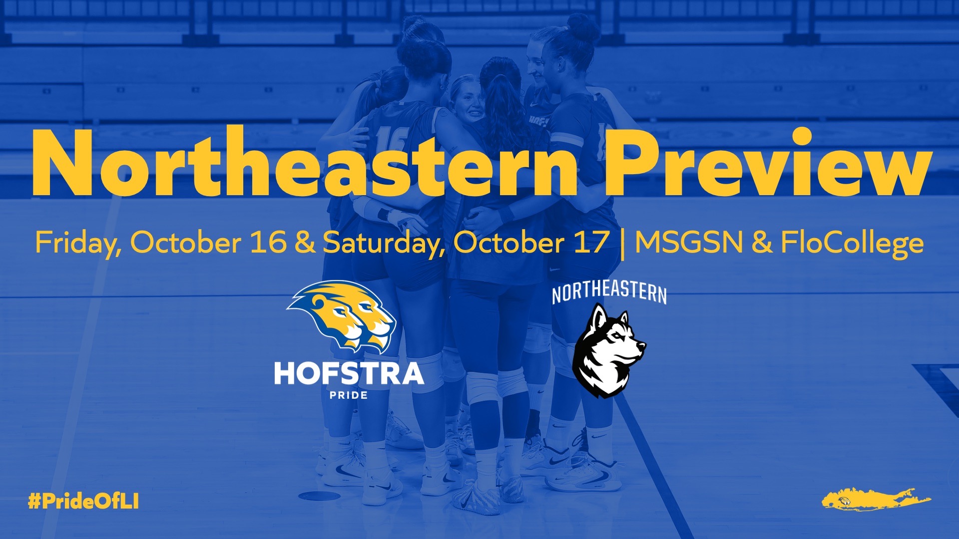 VB Hofstra Northeastern Preview 2026