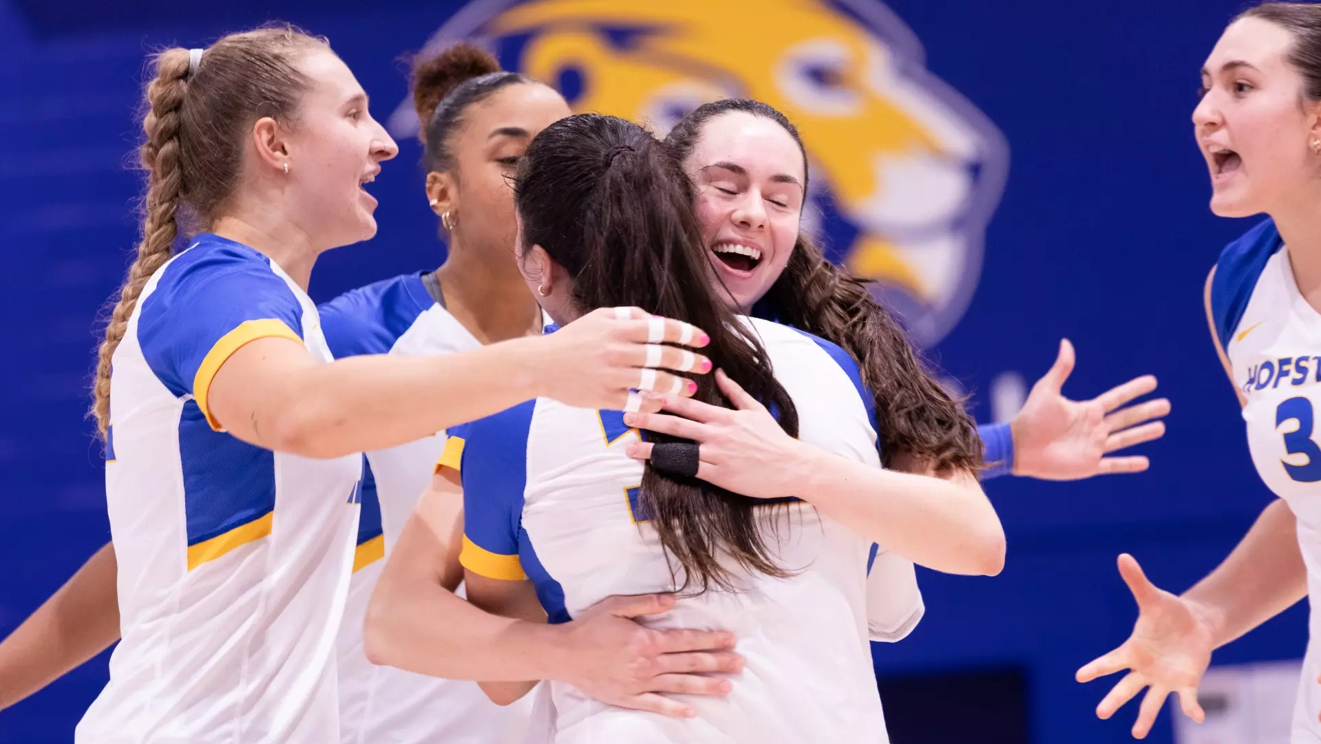 Hofstra Volleyball