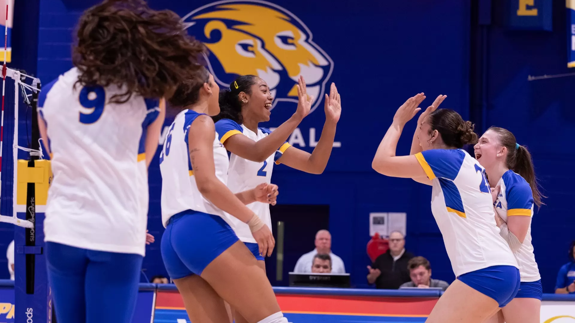 VB Team