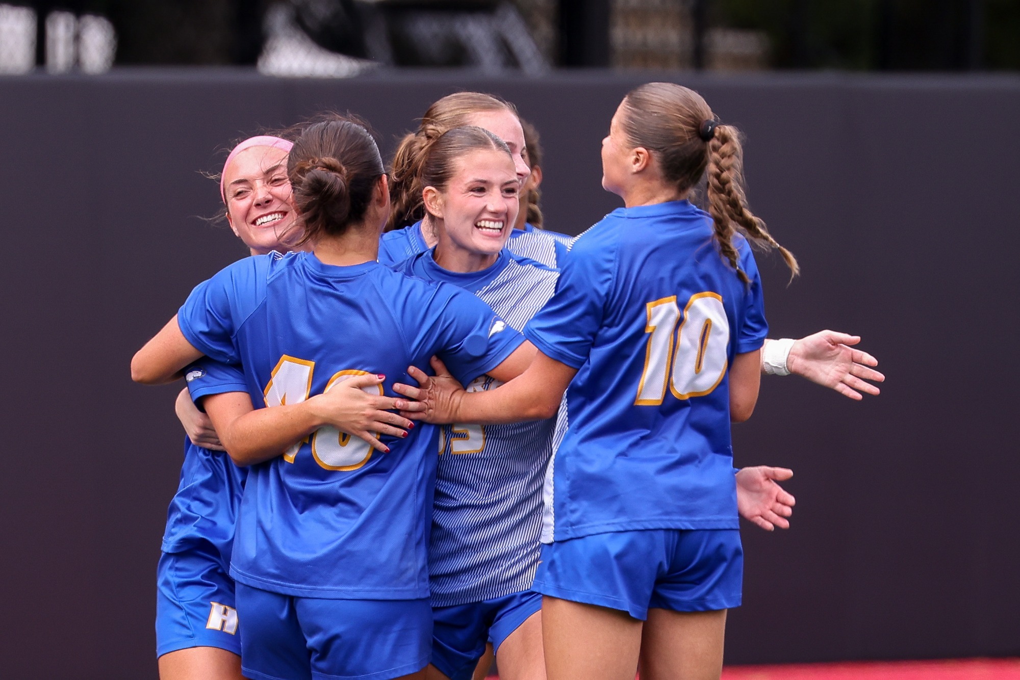 Hofstra Celebration Northeastern