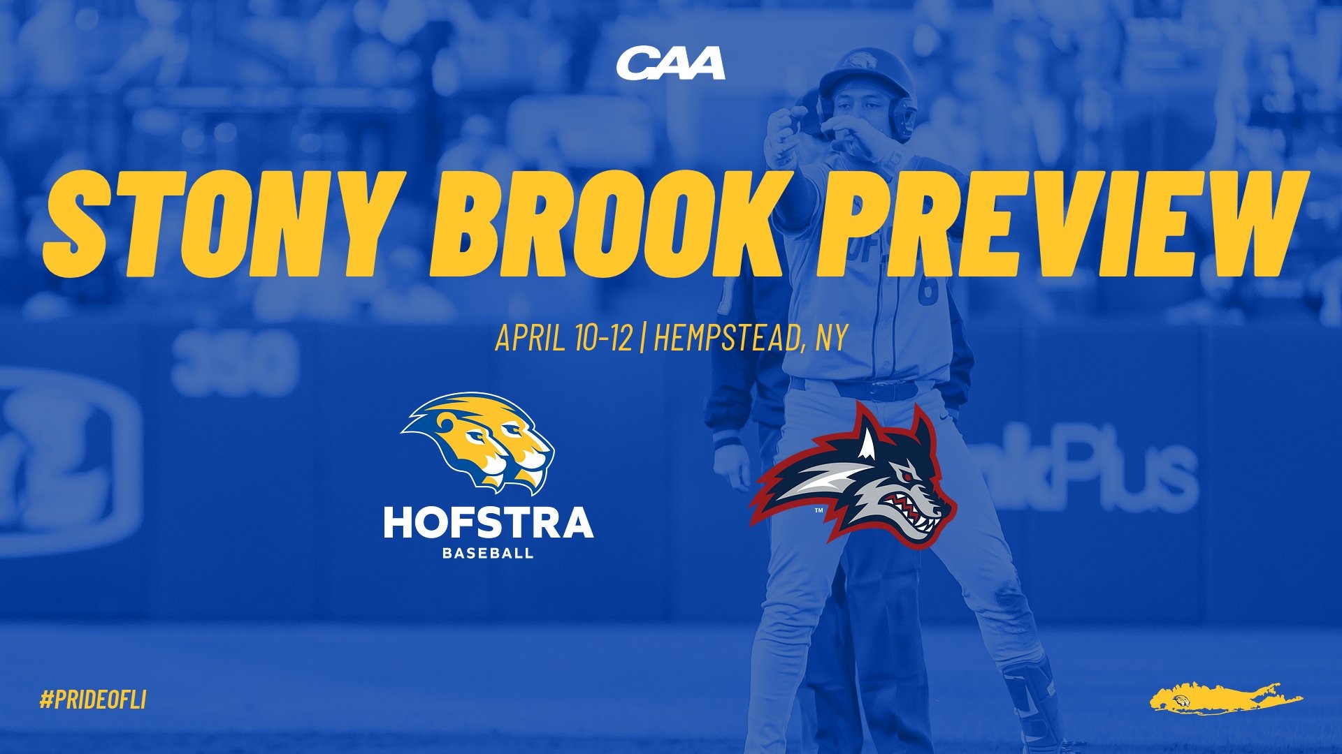 SBU Baseball Preview