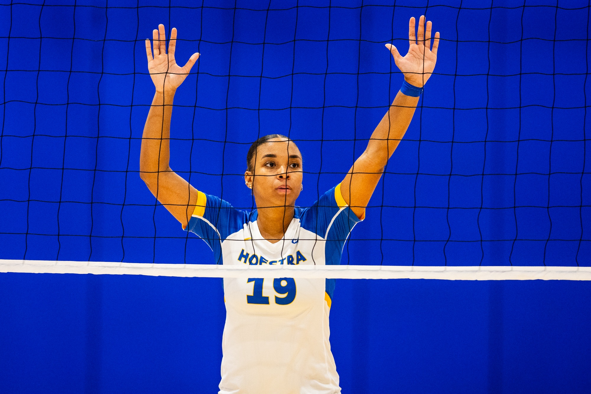 Hofstra Volleyball vs Army at the Hofstra Invitational on Saturday, September 12