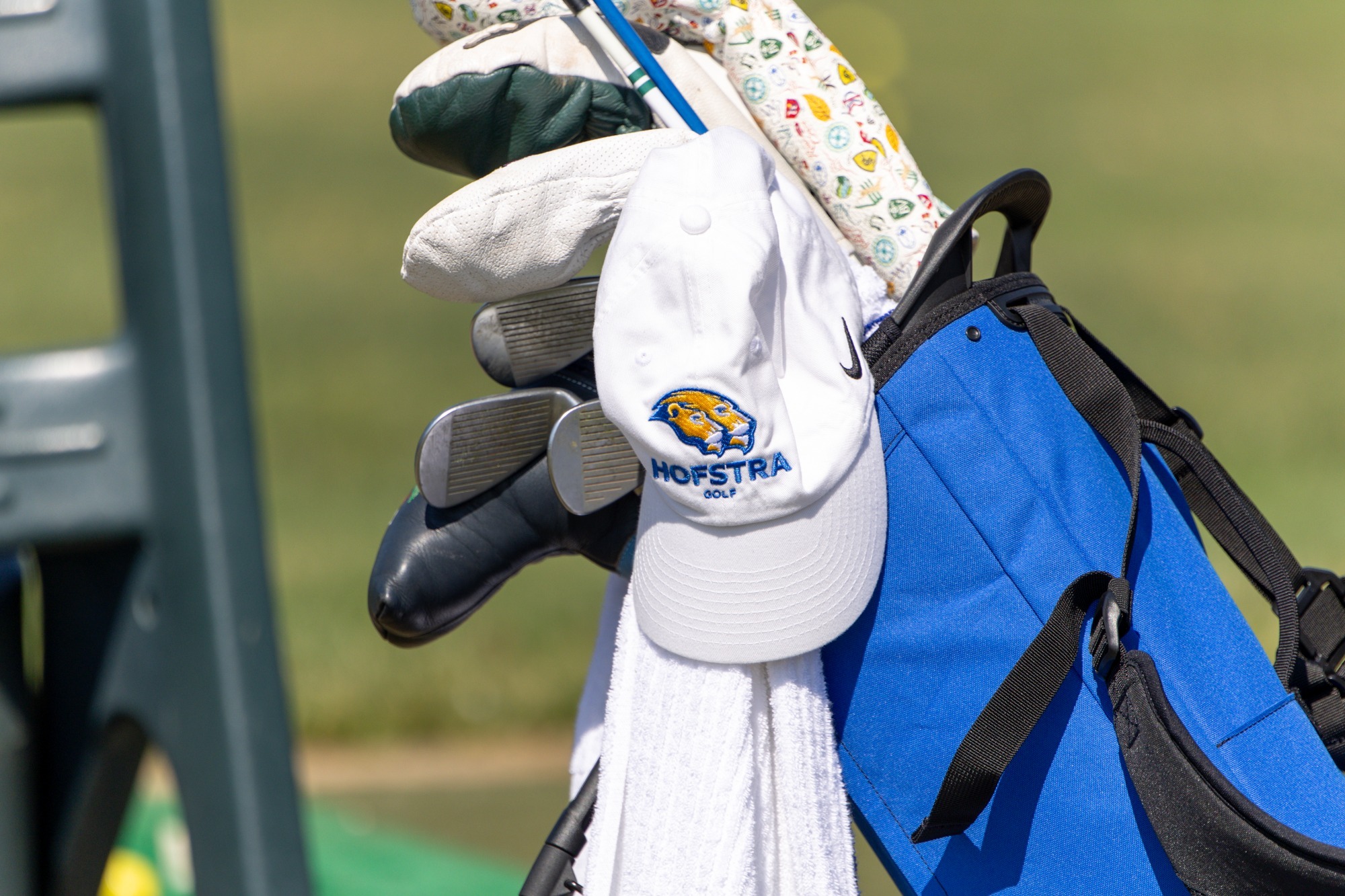 Hofstra Golf