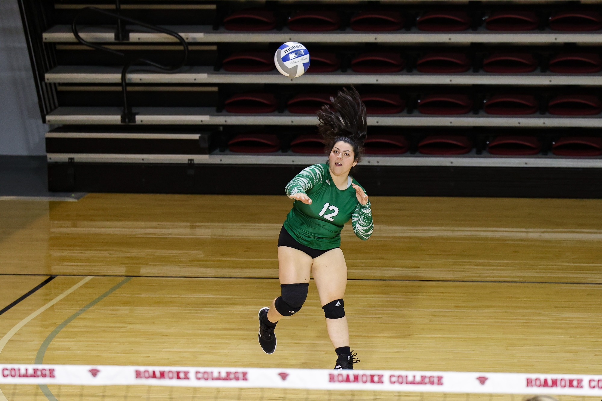 Hollins Splits Pair at Home Hollins University