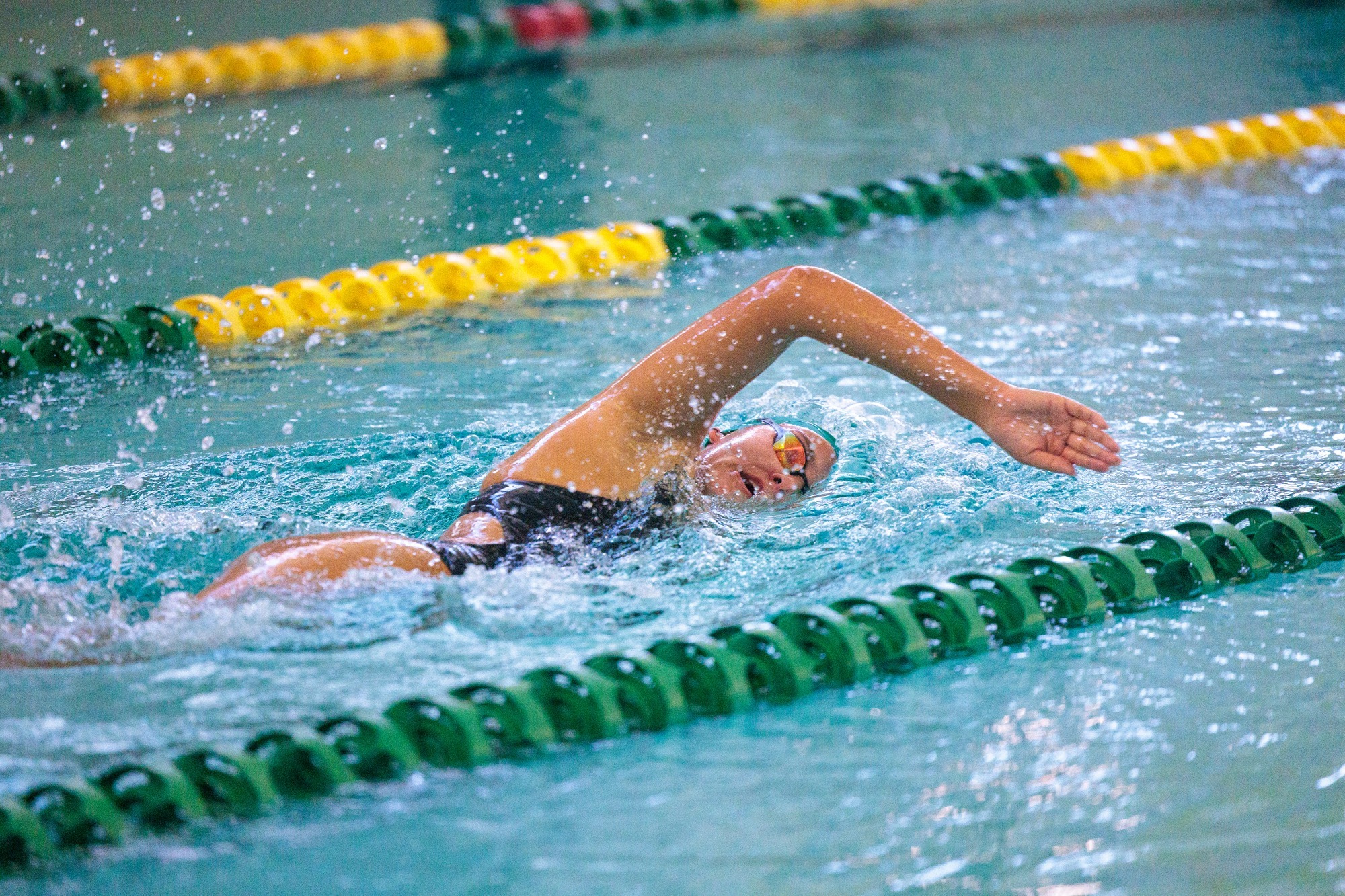 Hollins swimmer in the freestyle