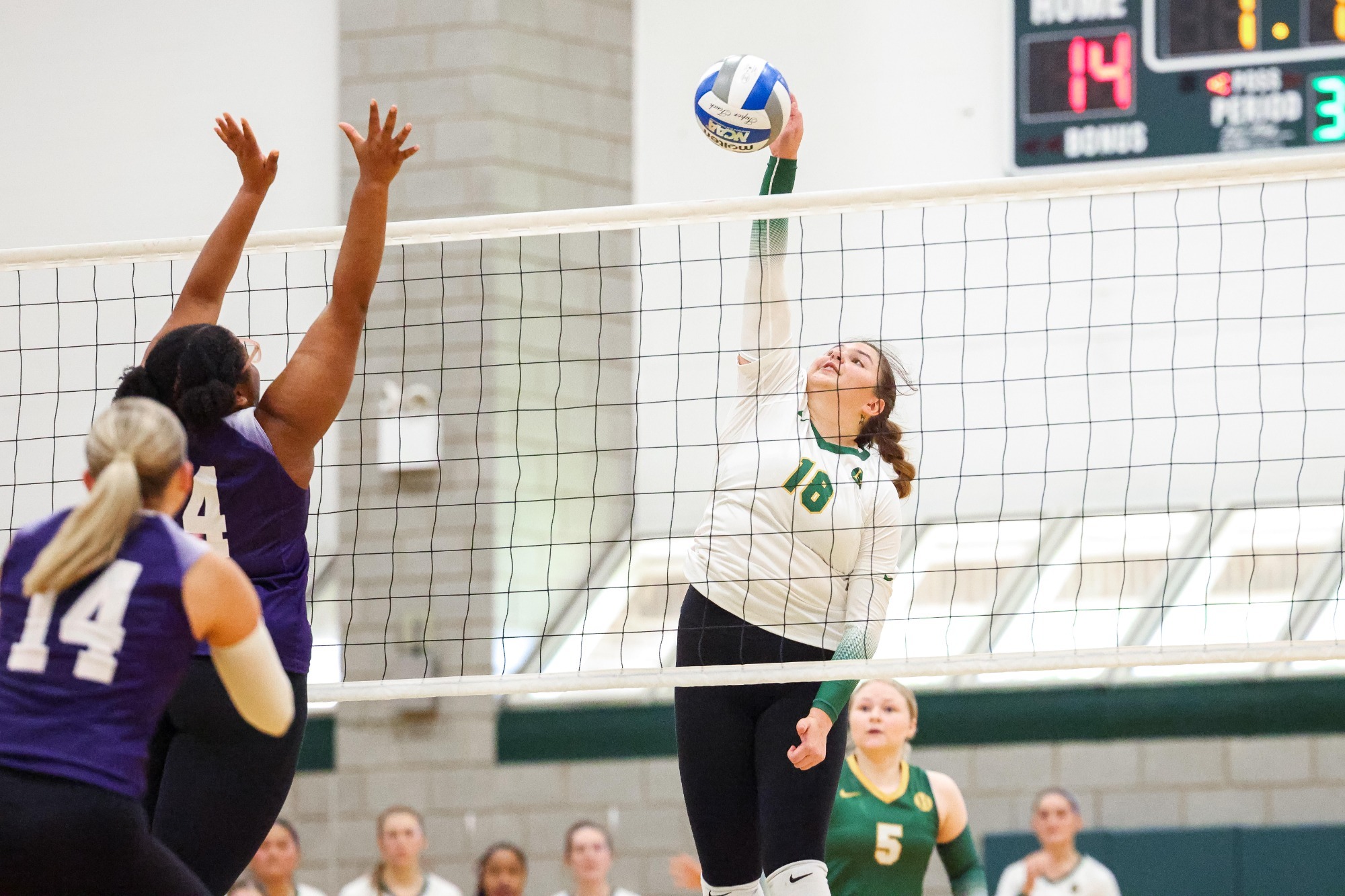 A Sophia Maurer attack