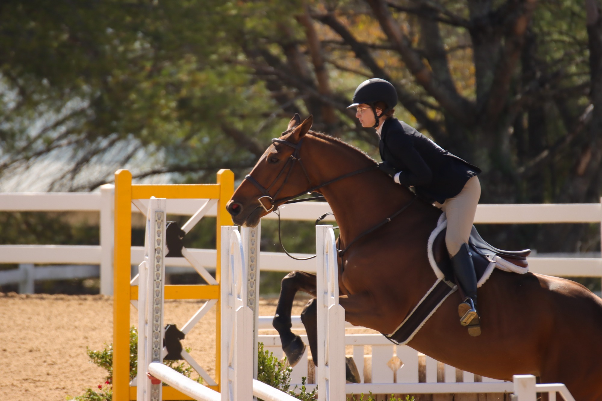 Gabriella Goshtigian at the ODAC Championships