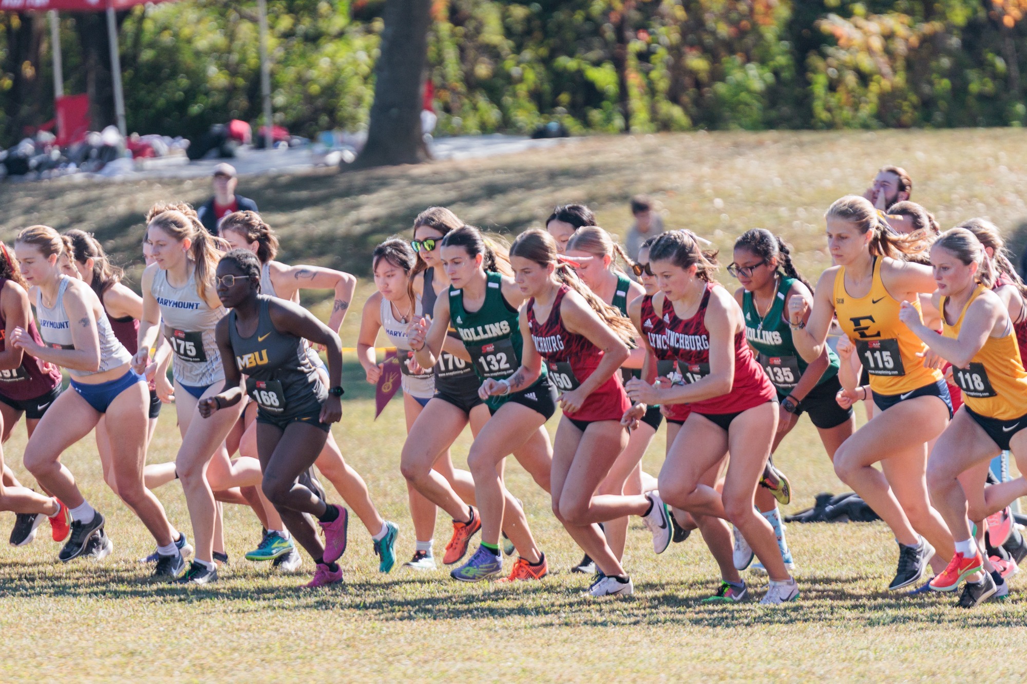 Start of a cross country meet