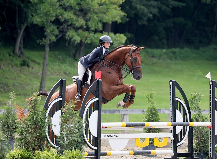 Nora Robbins over fences equestrian