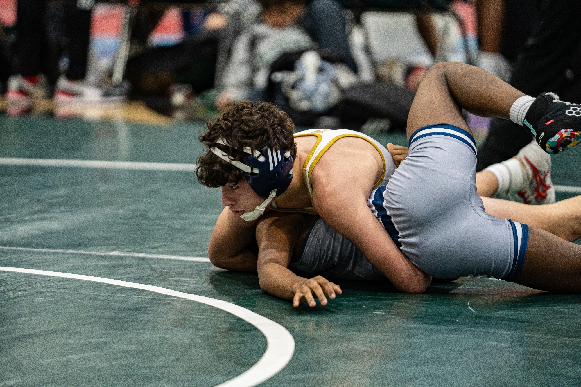 klein-action-beastonthebayou