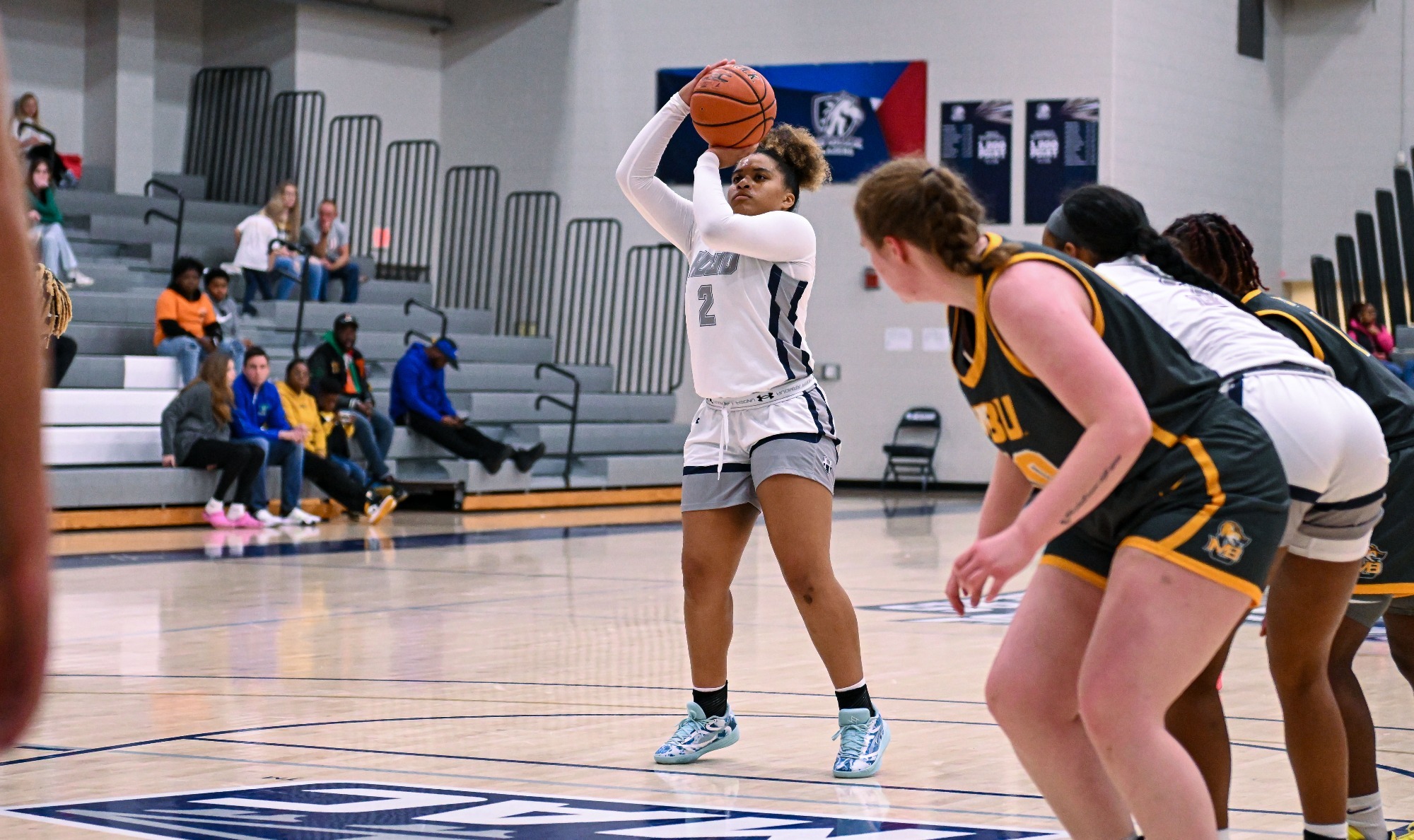 Late comeback falls short for Women's basketball Hood College