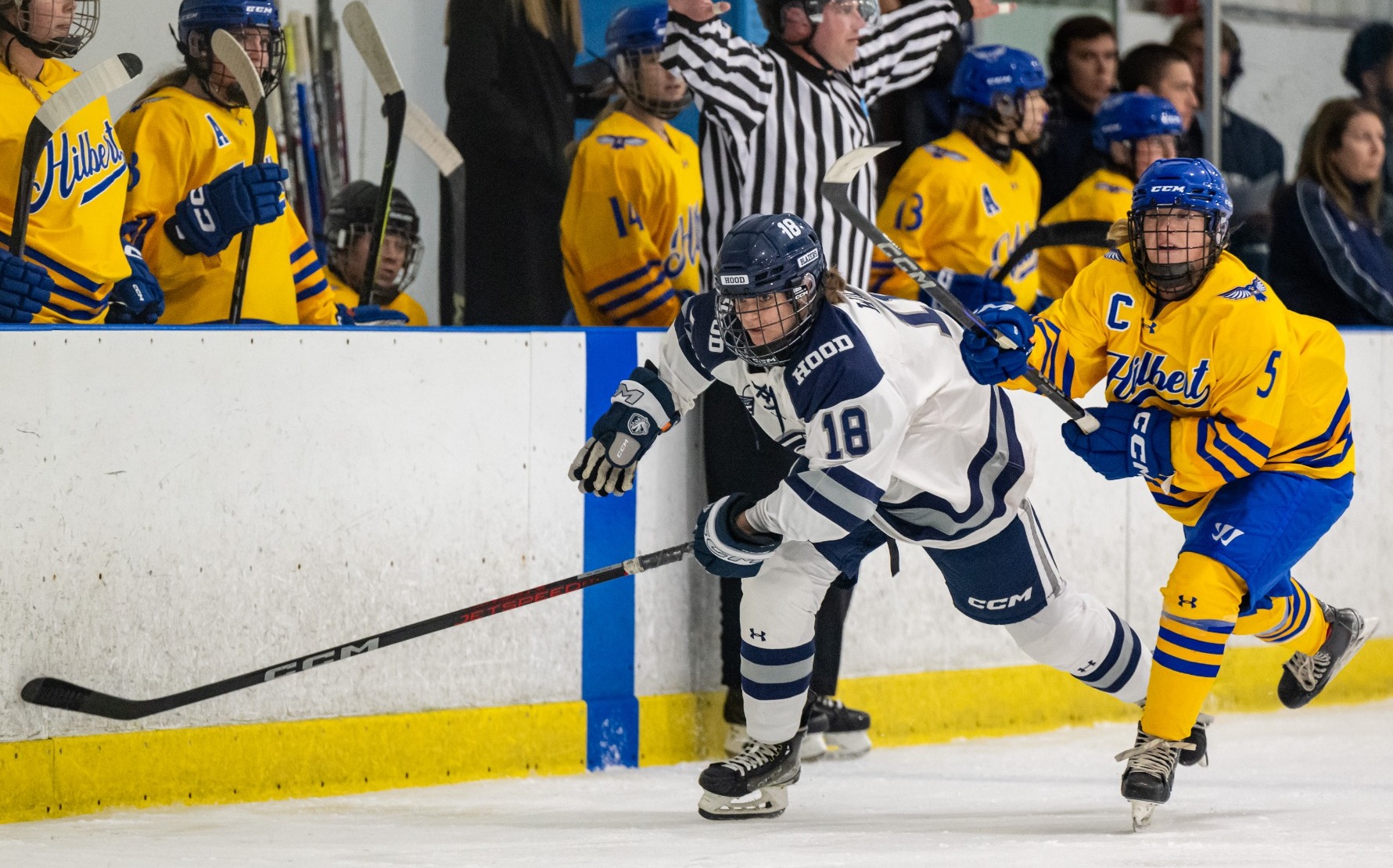 Women’s ice hockey blanked by Wilkes Hood College