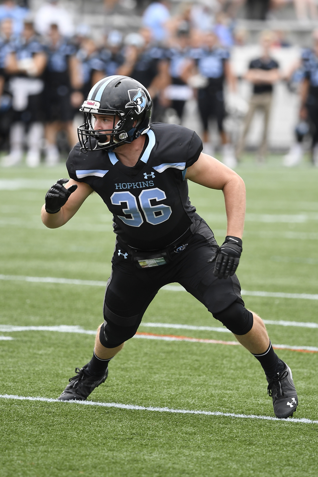 Scott Dettloff Football Johns Hopkins University Athletics