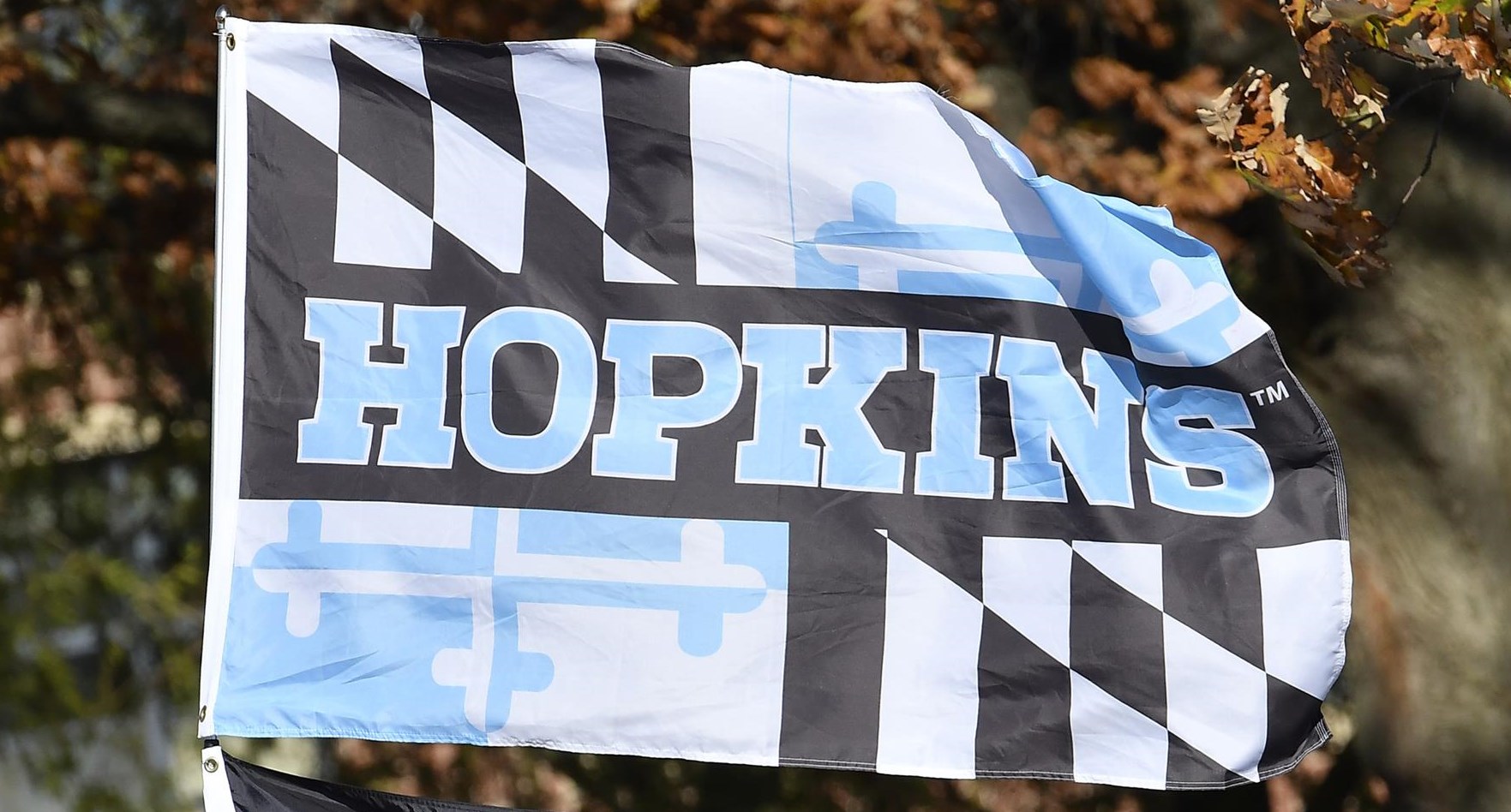 Hopkins Flag