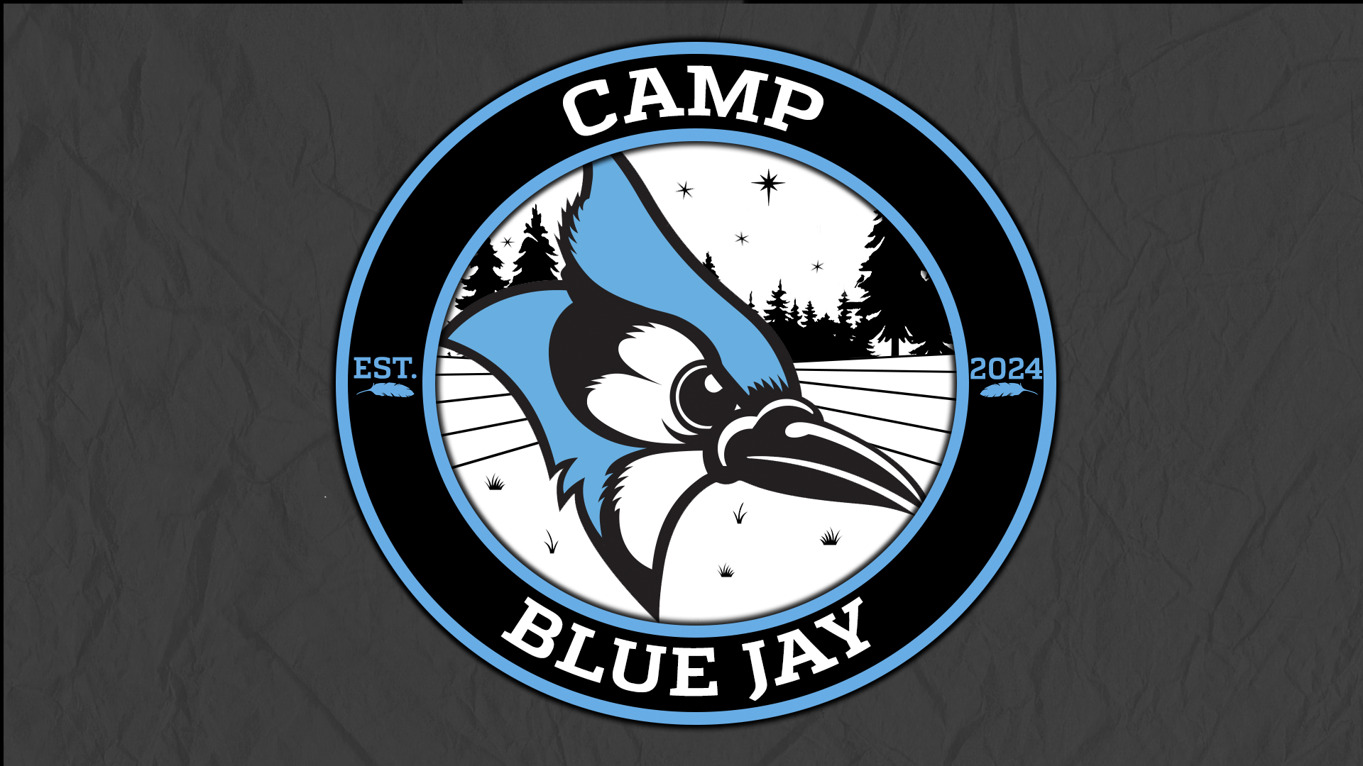 Allison Fondale Named Associate Director of Athletics Johns Hopkins