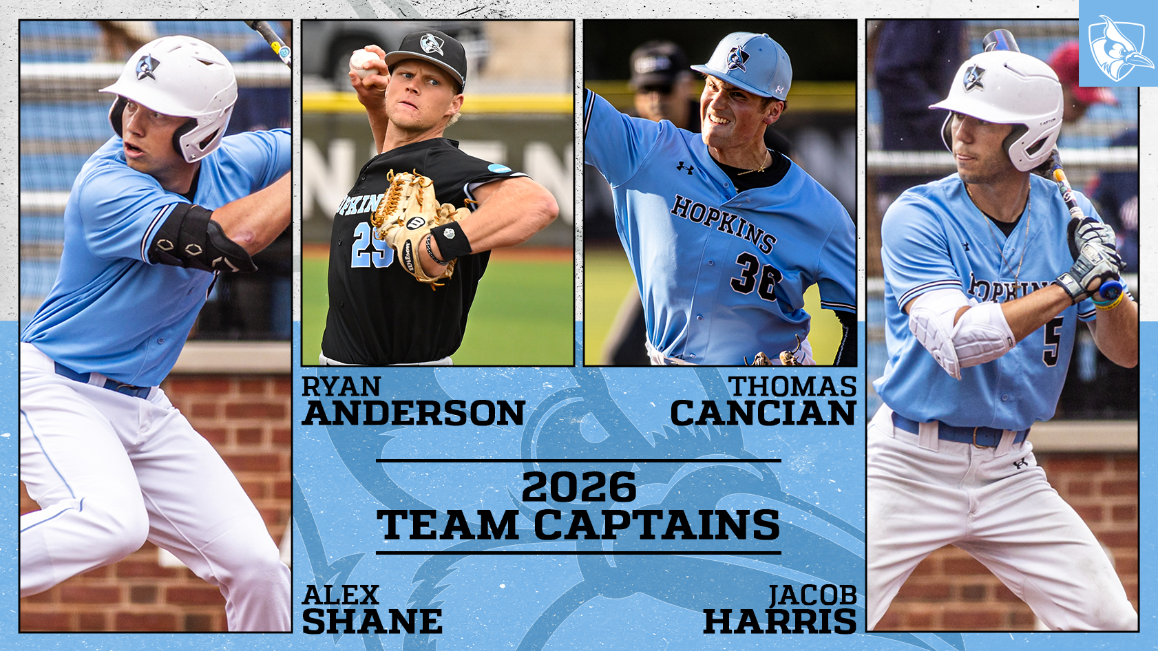 2026 BSB Team Captains